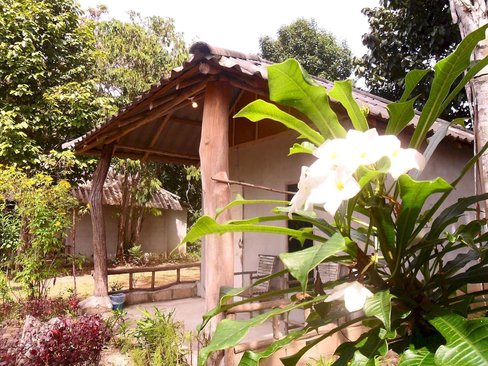 Payang