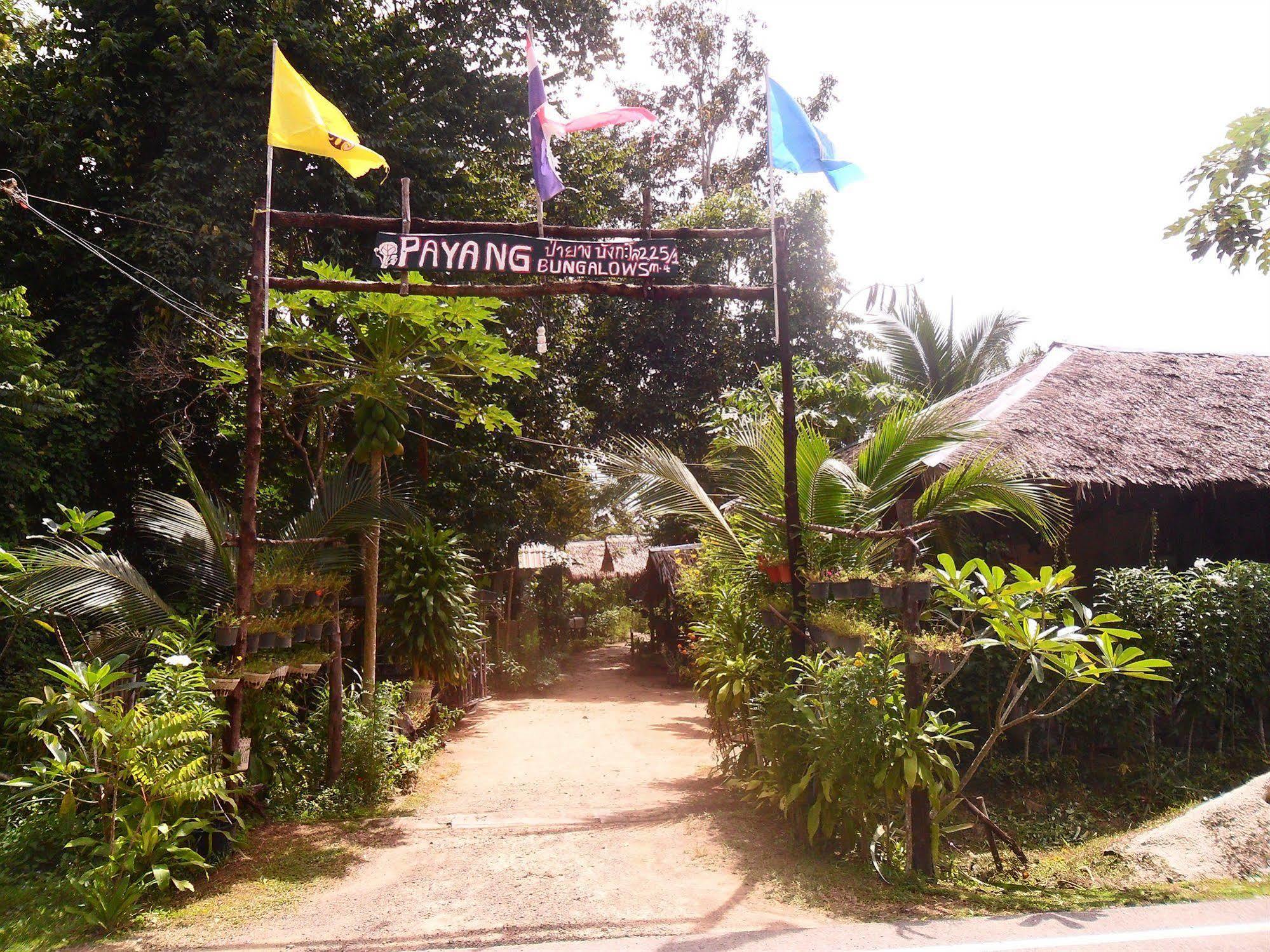 Guest house Payang