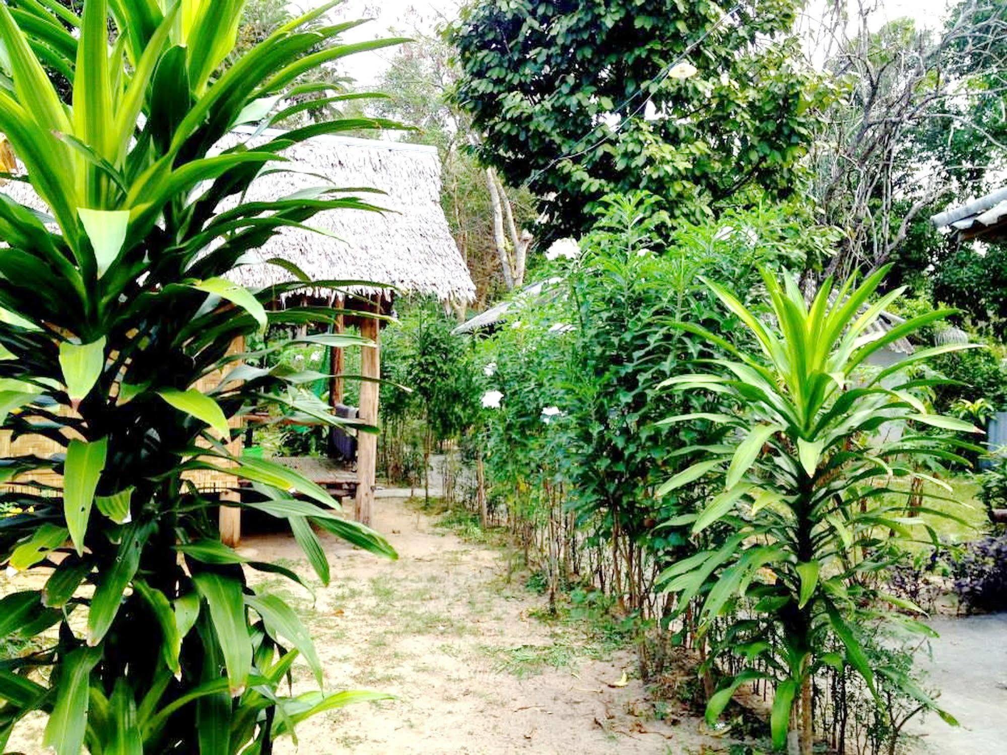 Guest house Payang *