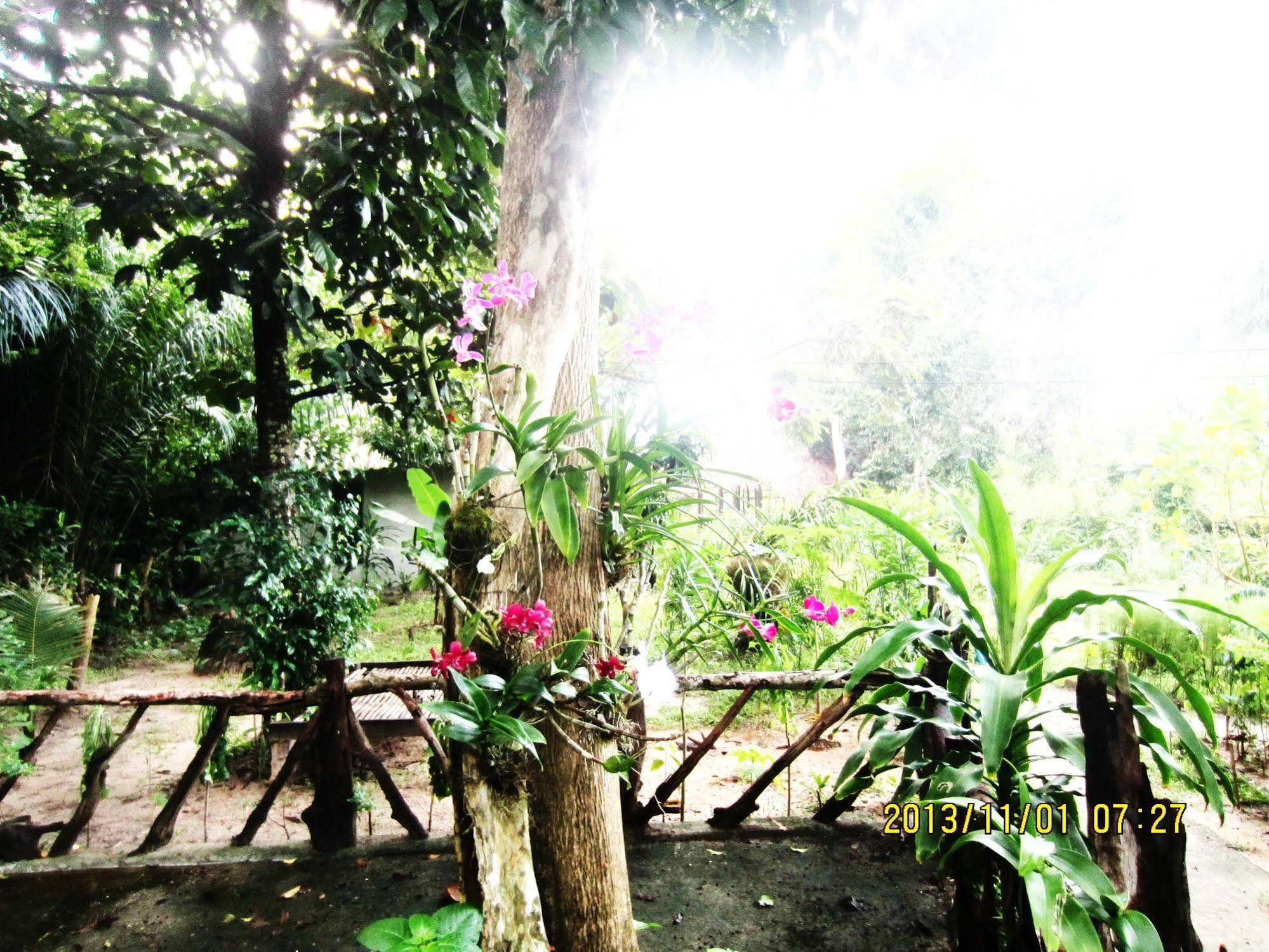 Payang Guest house *
