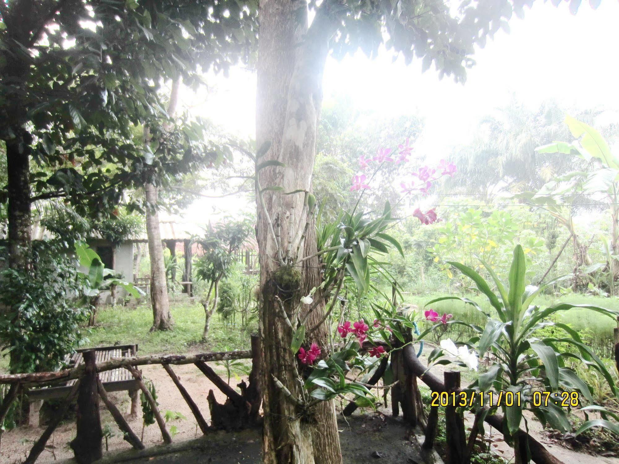 Payang Guest house Ao Nang