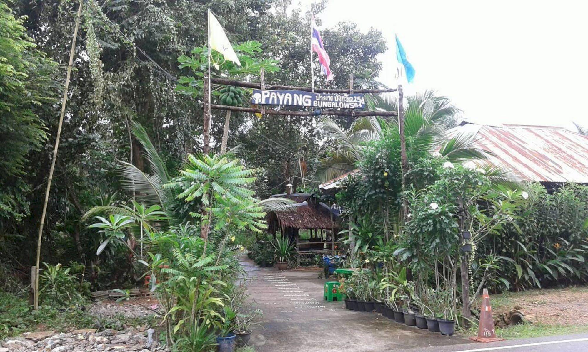 Payang * Ao Nang
