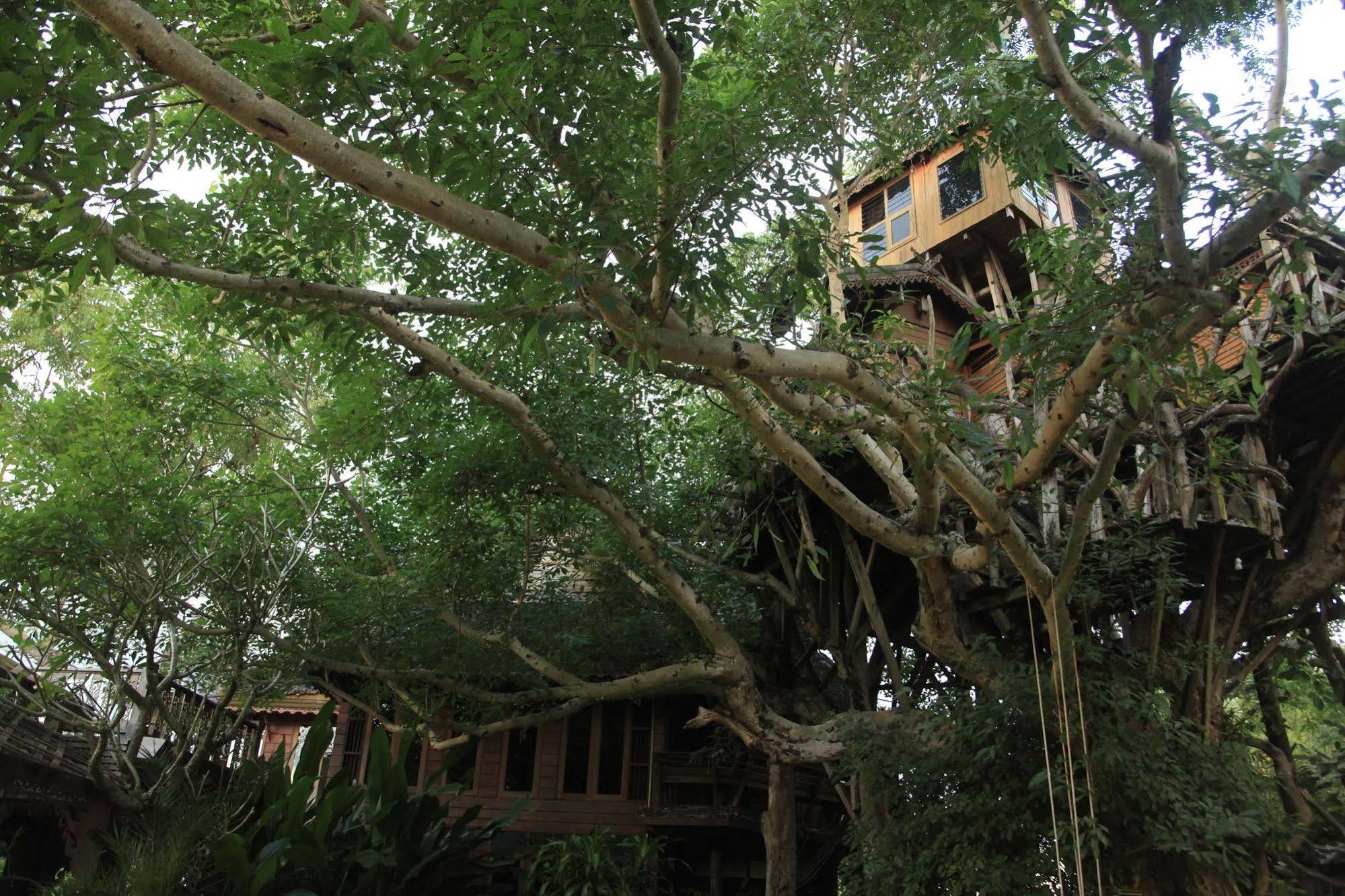 Resort Treehouse 3*
