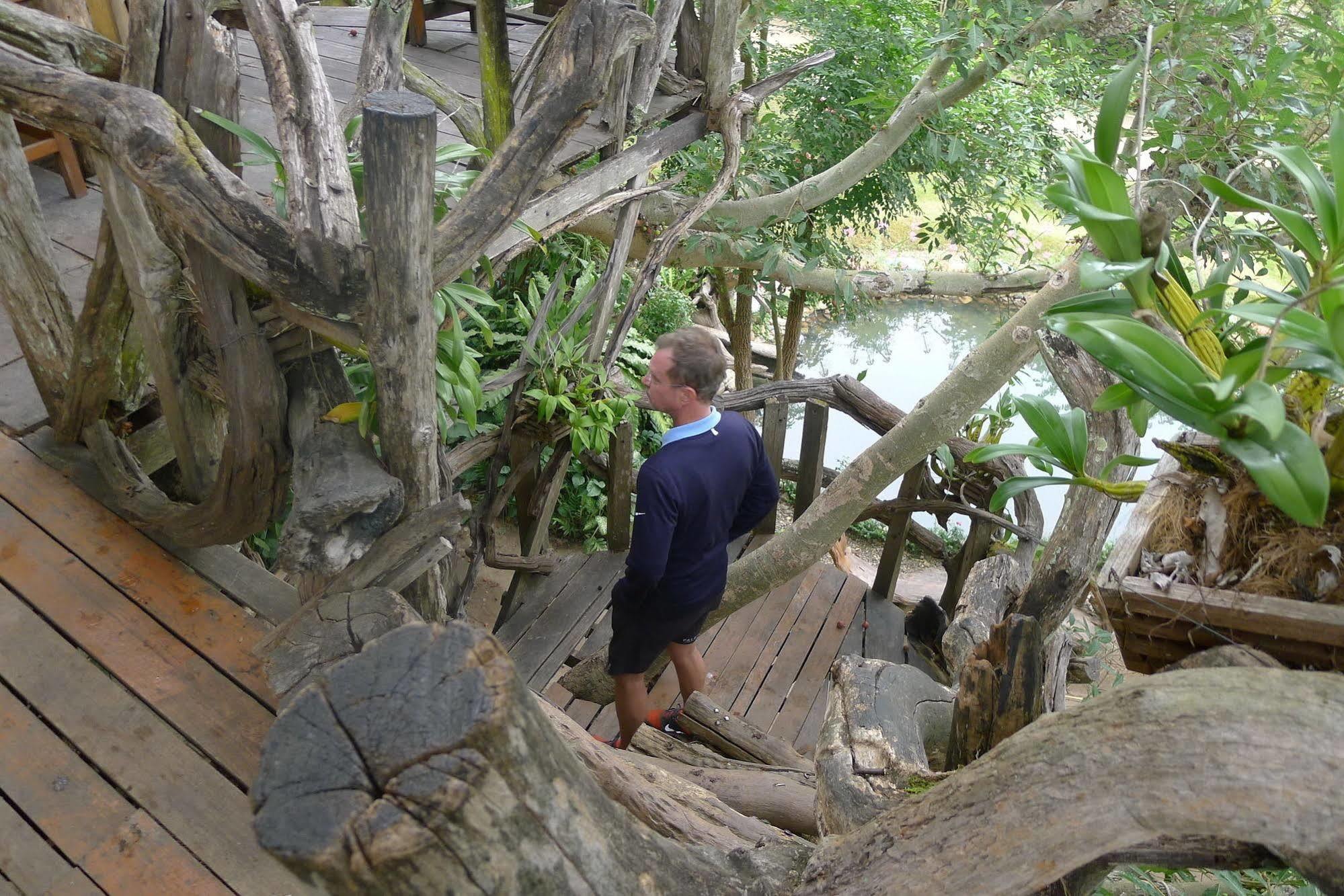 Treehouse Pai