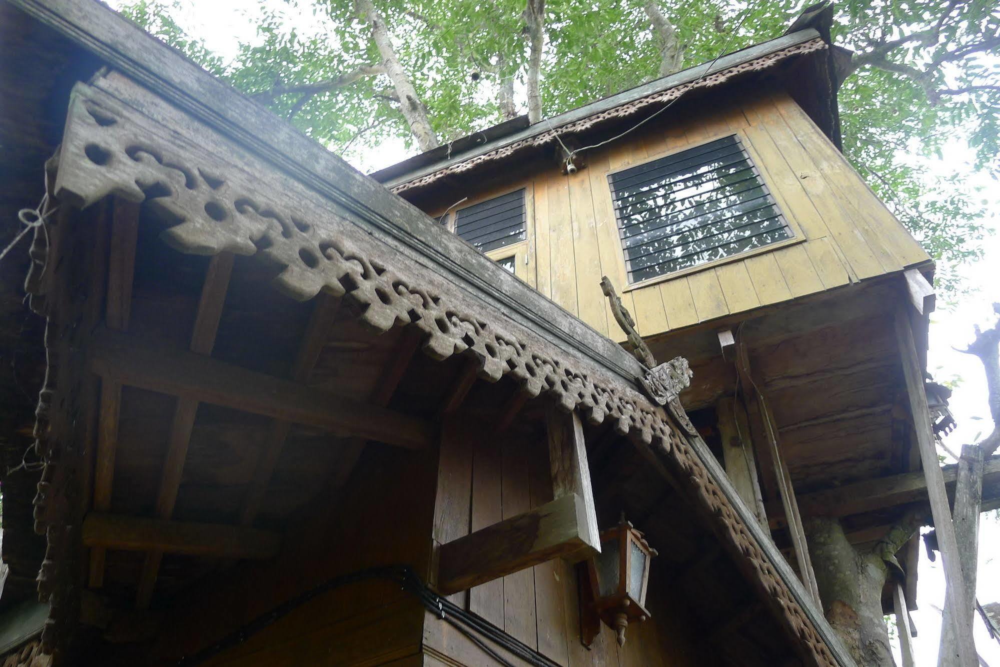 Treehouse 3* Pai
