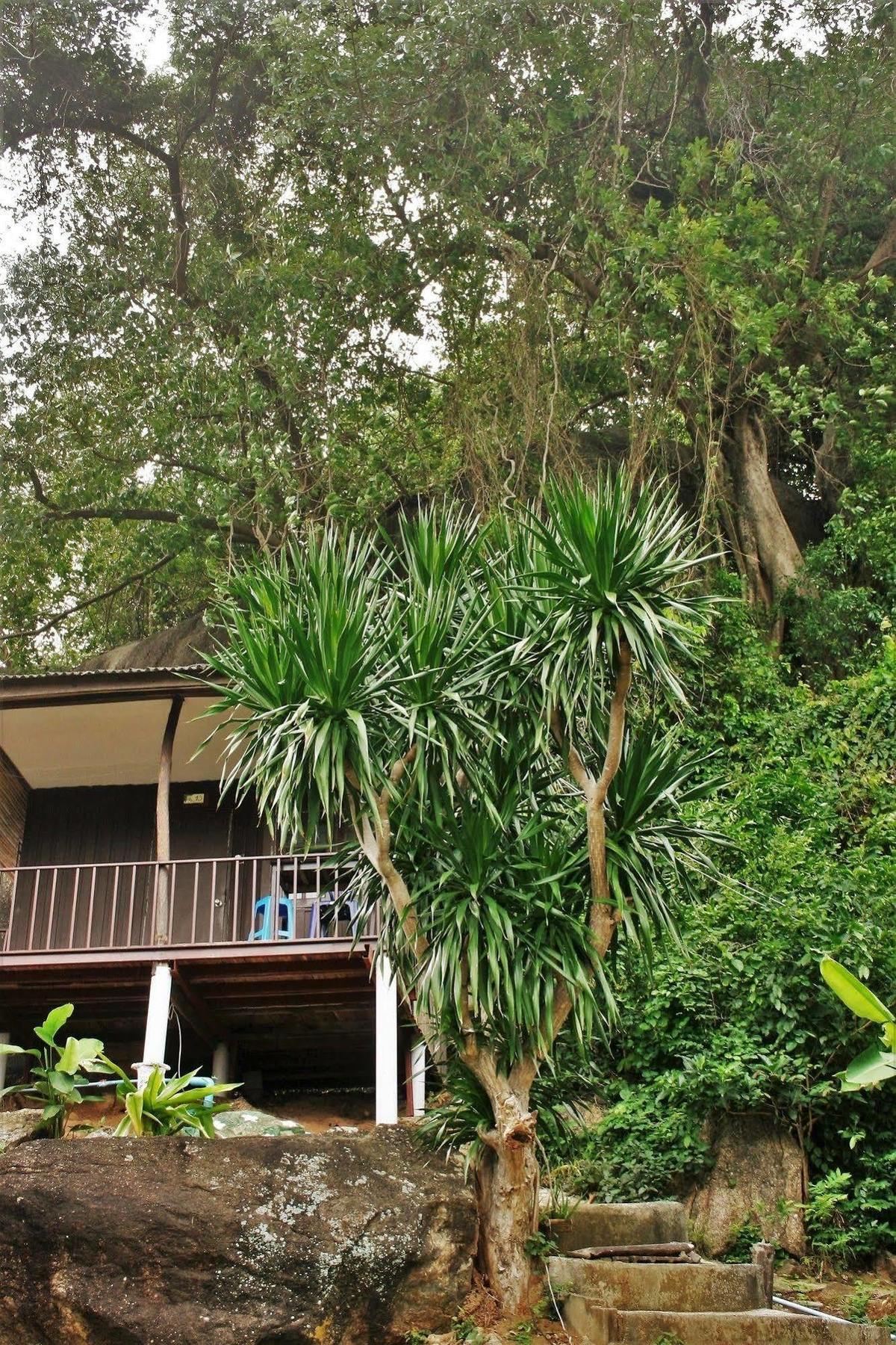 Canyon Resort