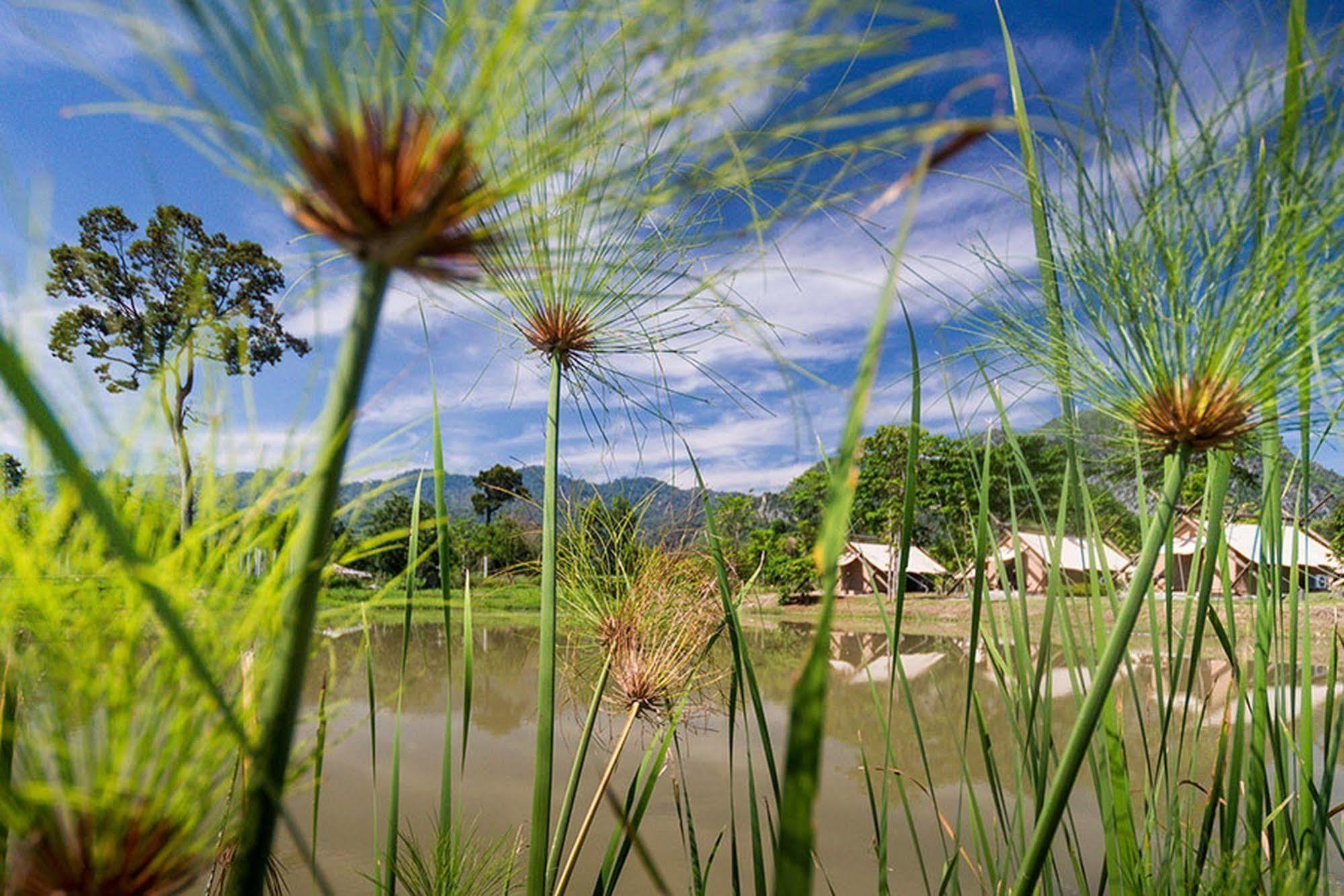 Lala Mukha Tented Resort Khao Yai 4* Mu Si