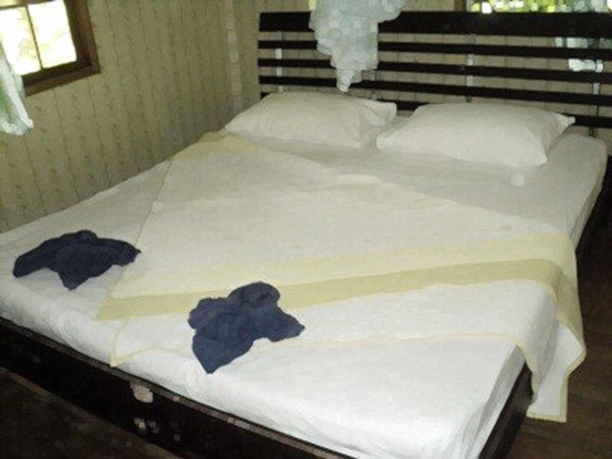 Guest house Khaosok Island *