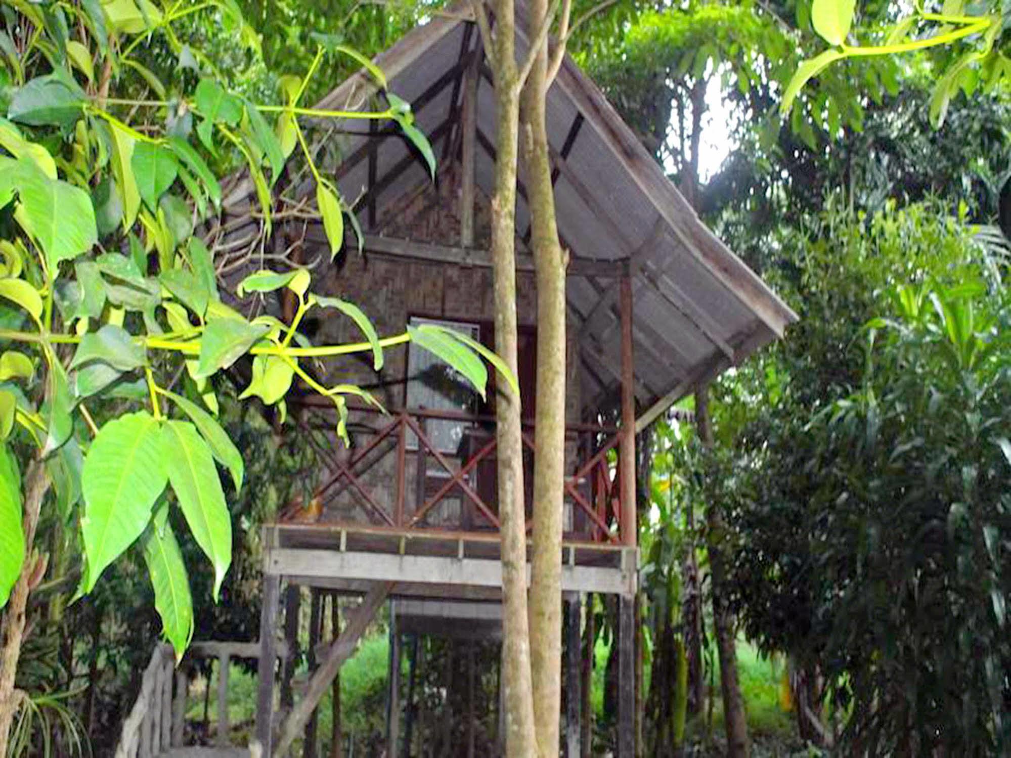 Khaosok Island * Khao Sok National Park