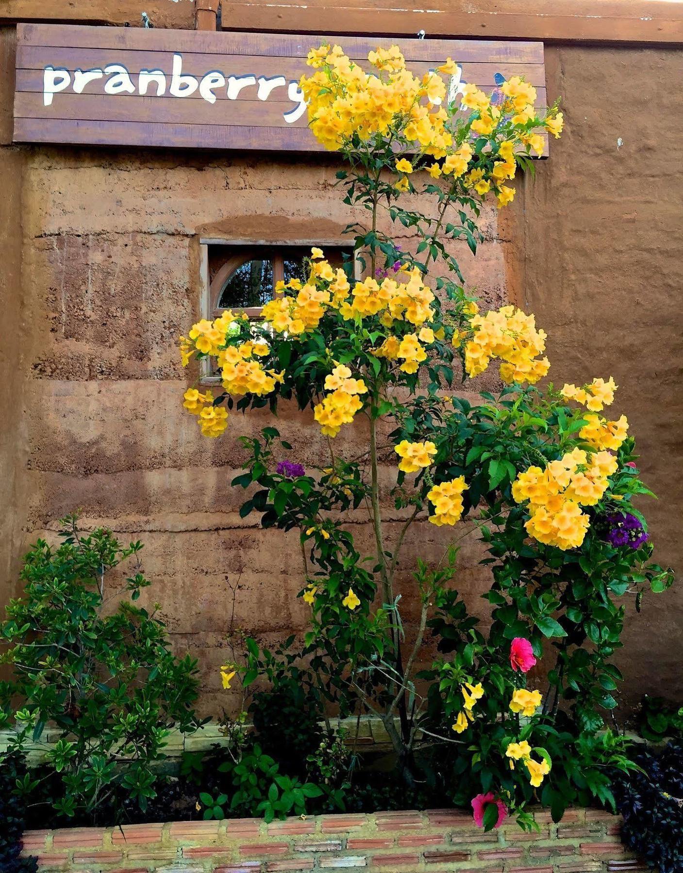 Pranberry Earth Resort