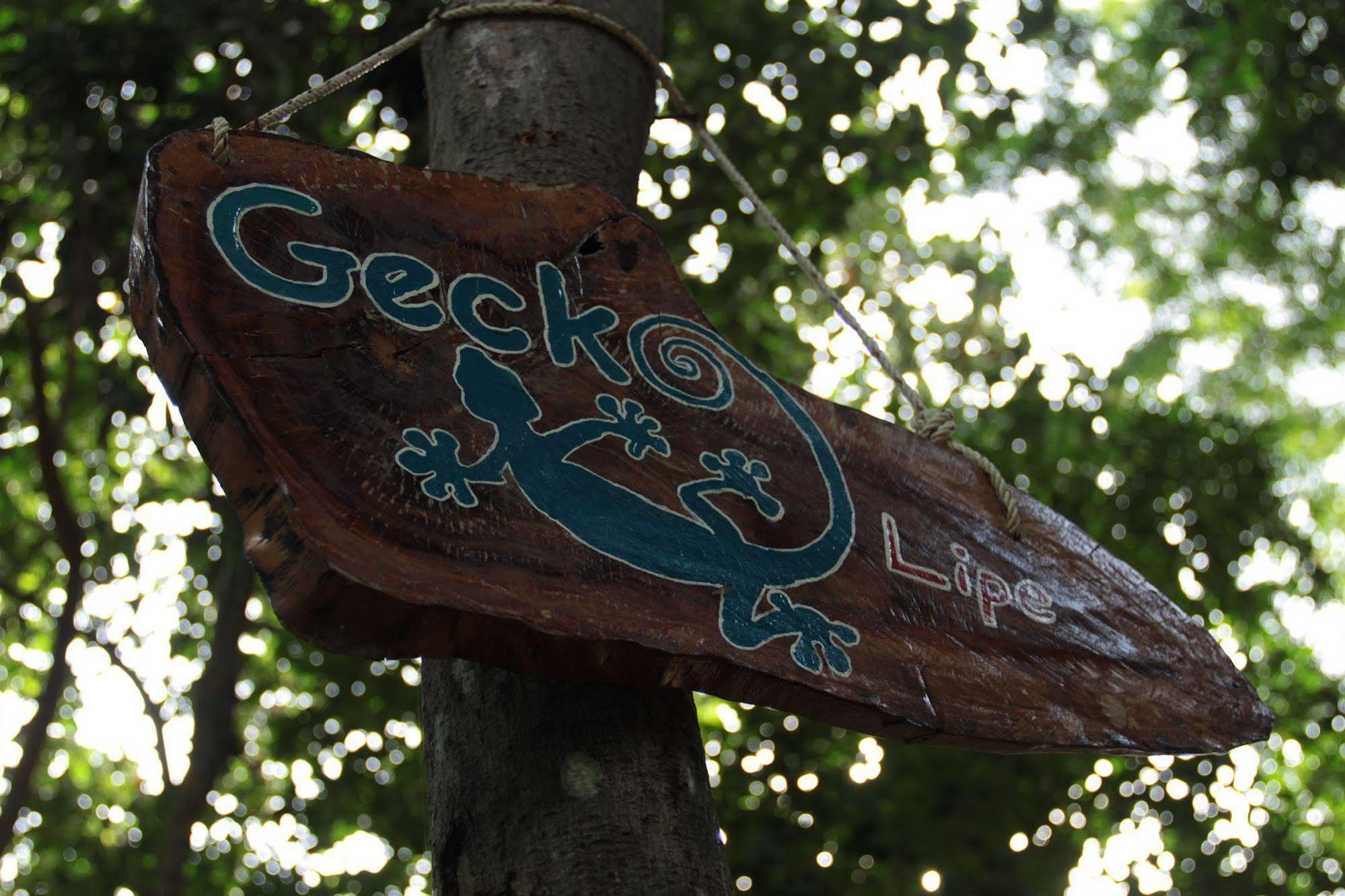 Gecko Koh Lipe