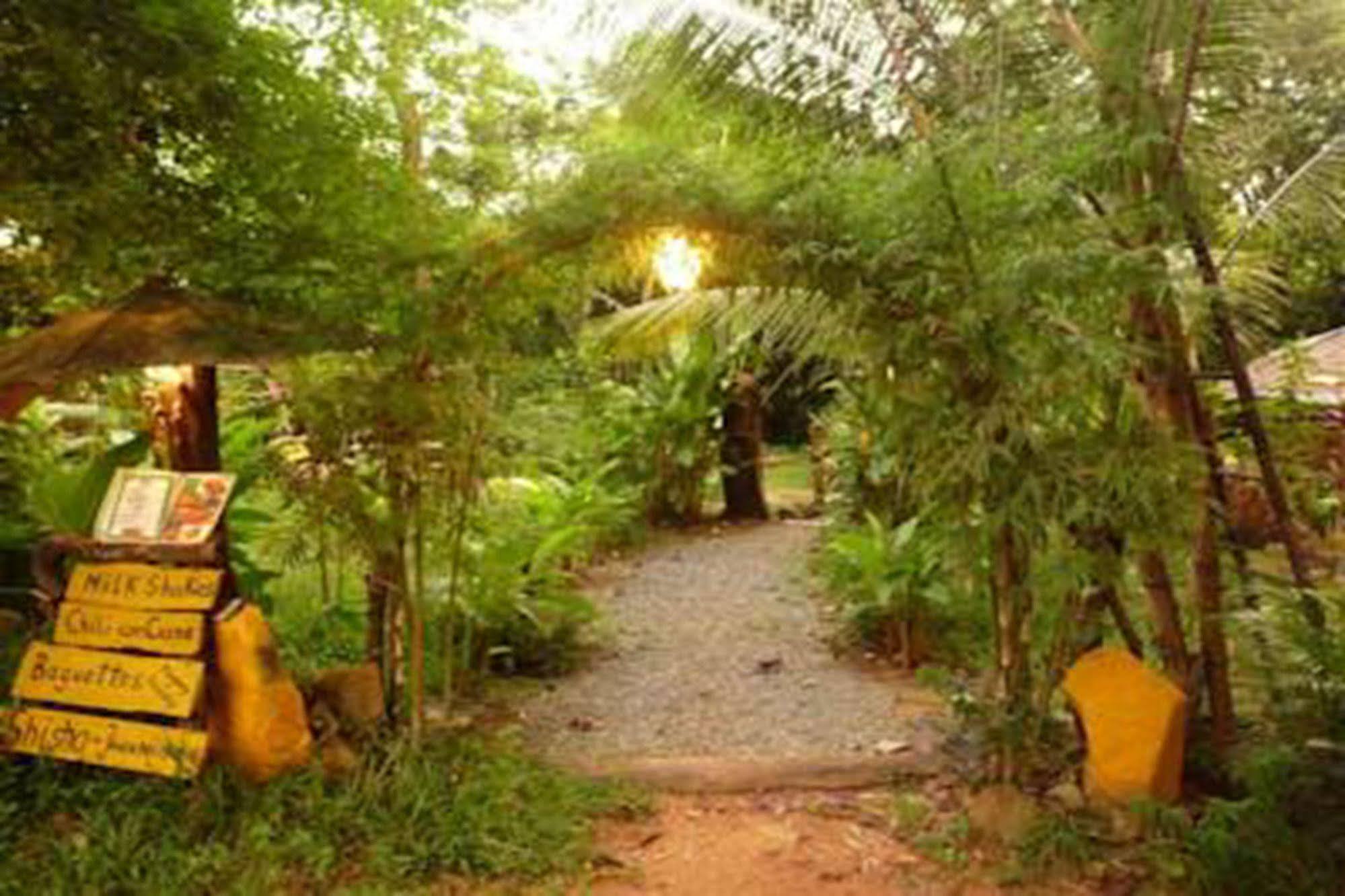 Jungle Garden