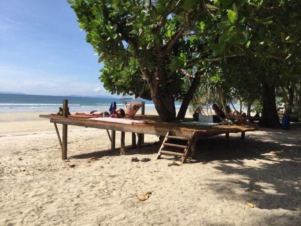 Phayam Coconut Koh Phayam