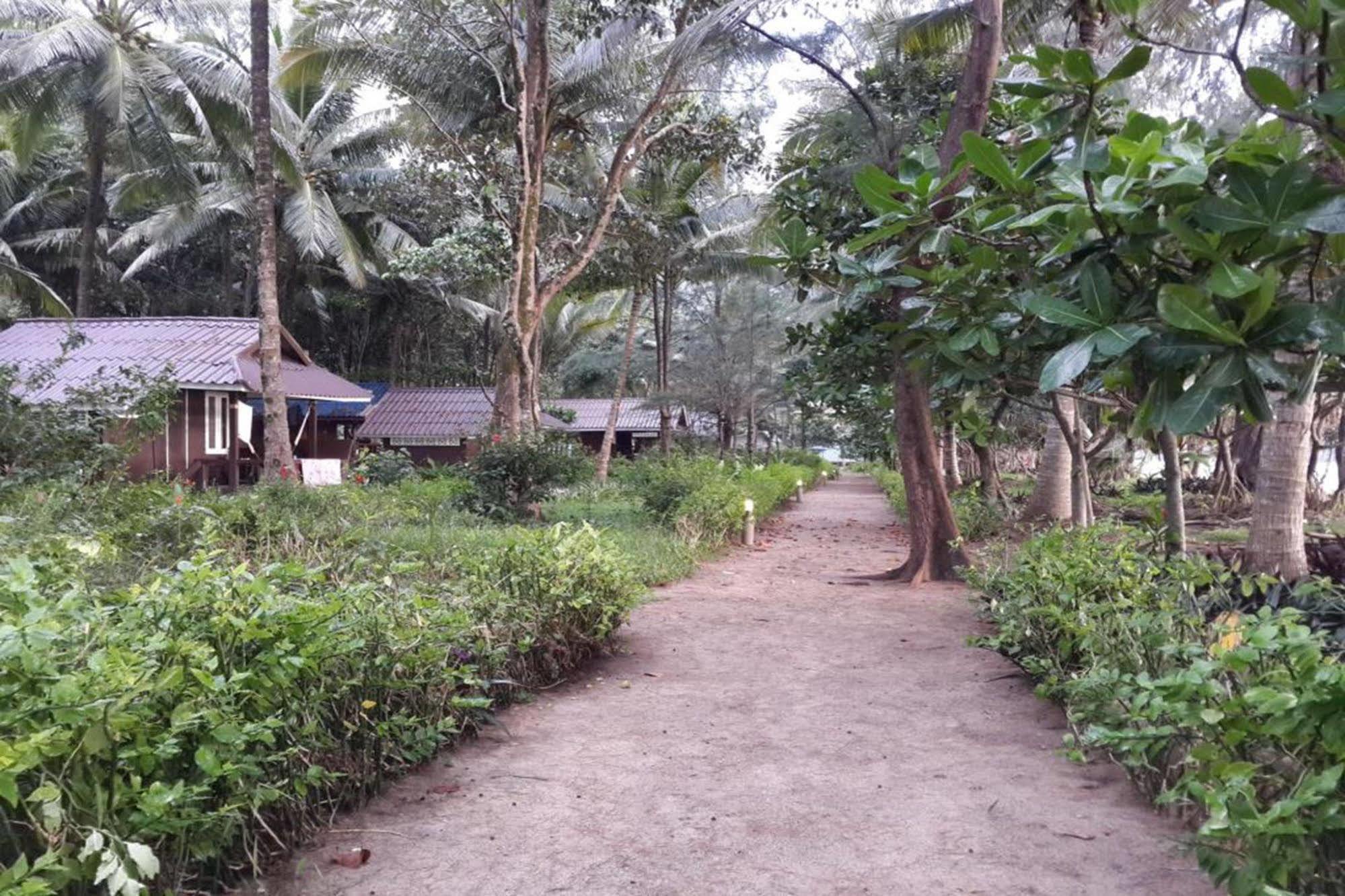 Resort Phayam Coconut