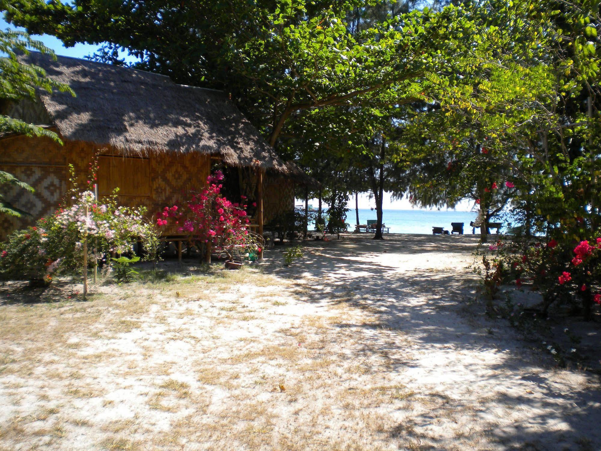 View 3*