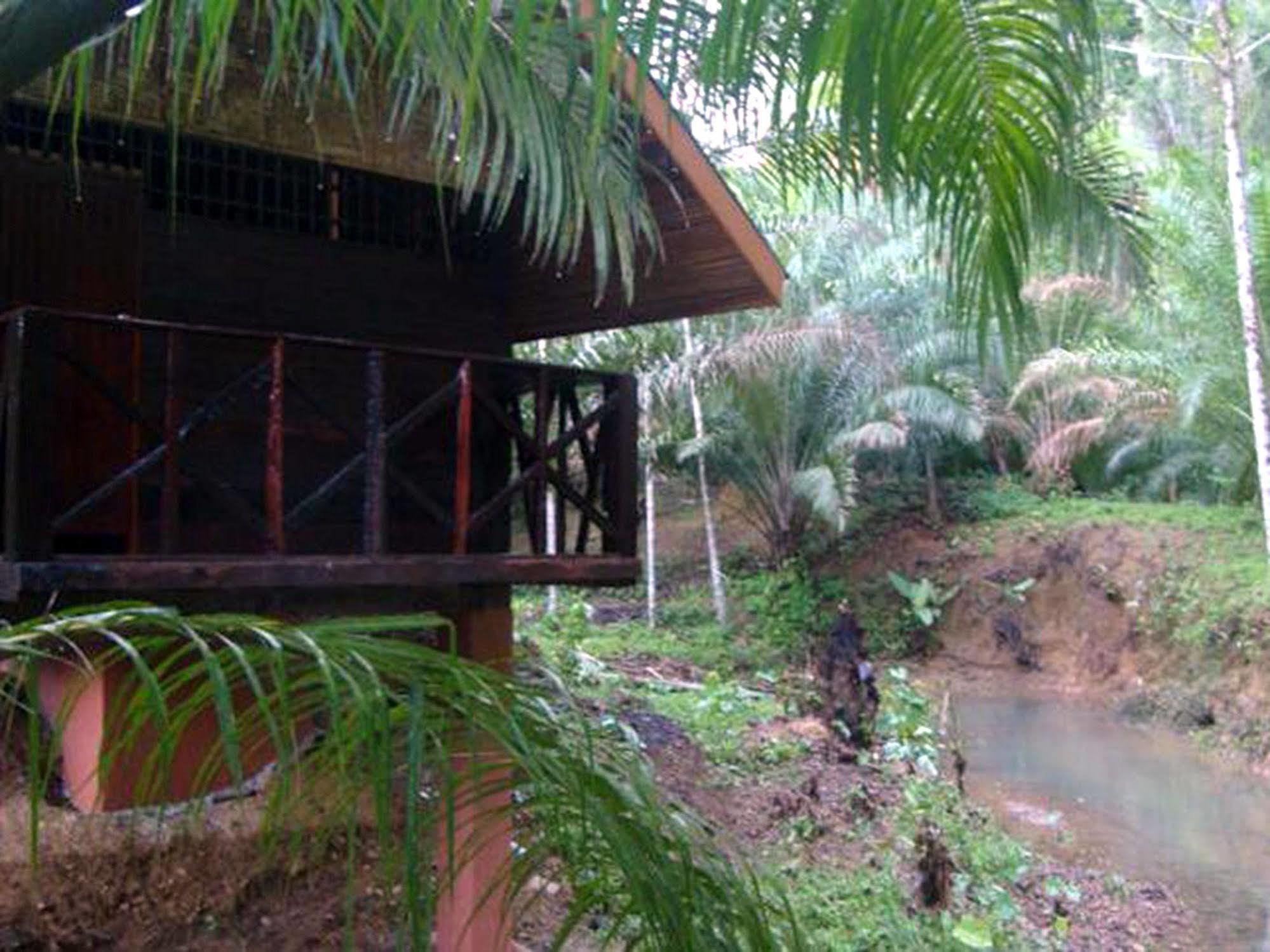 Khao Sok Silver Cliff Khao Sok National Park