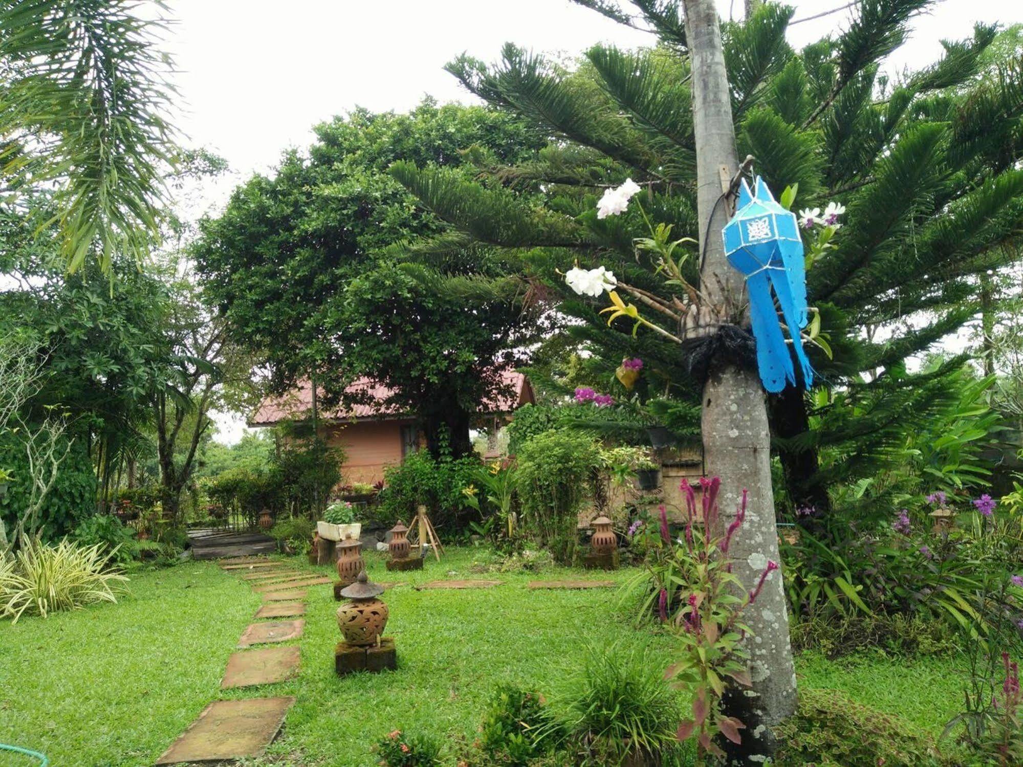 Maesai Doi View