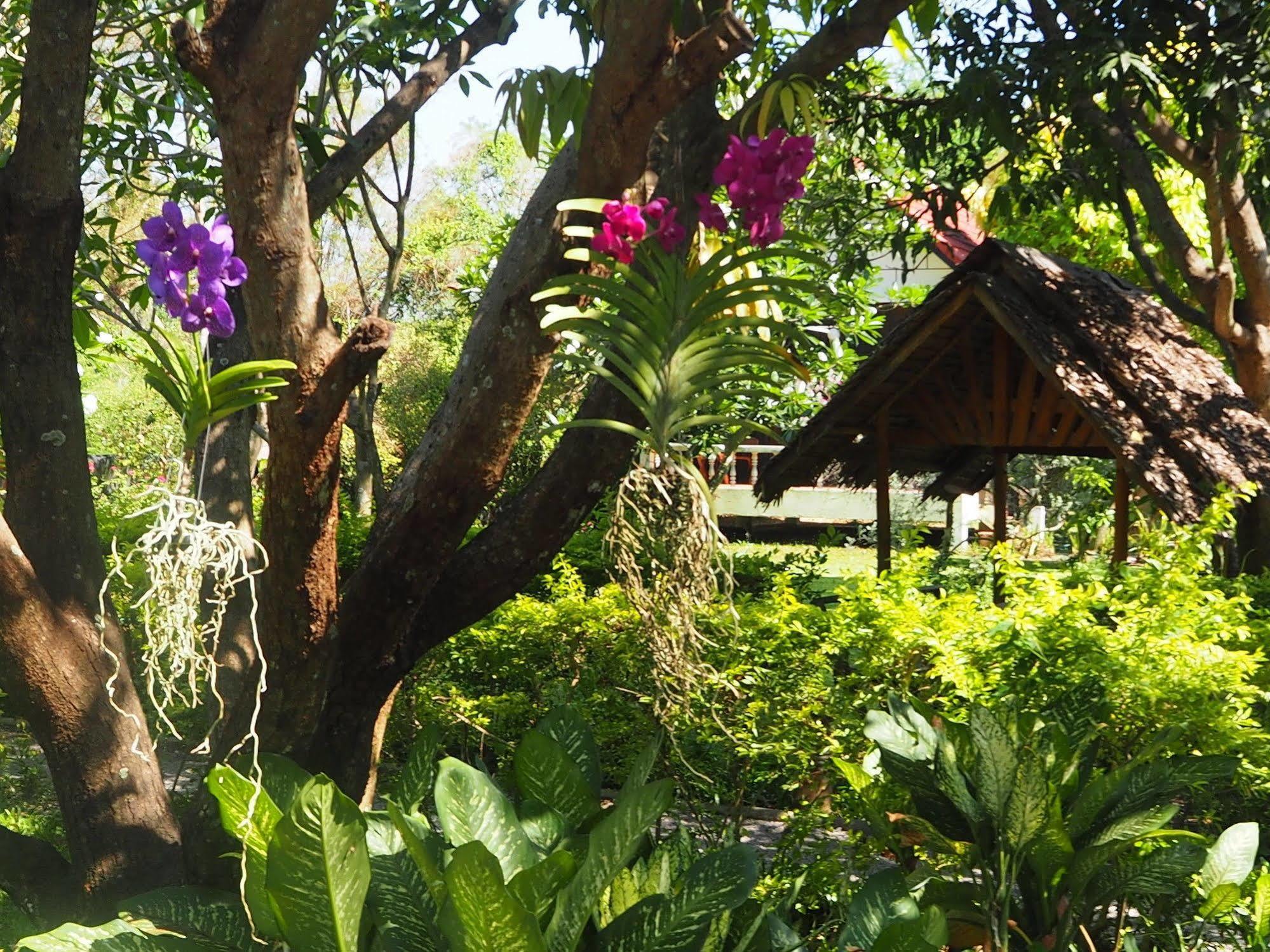 Thai-bamboo Holiday park Cha-Am