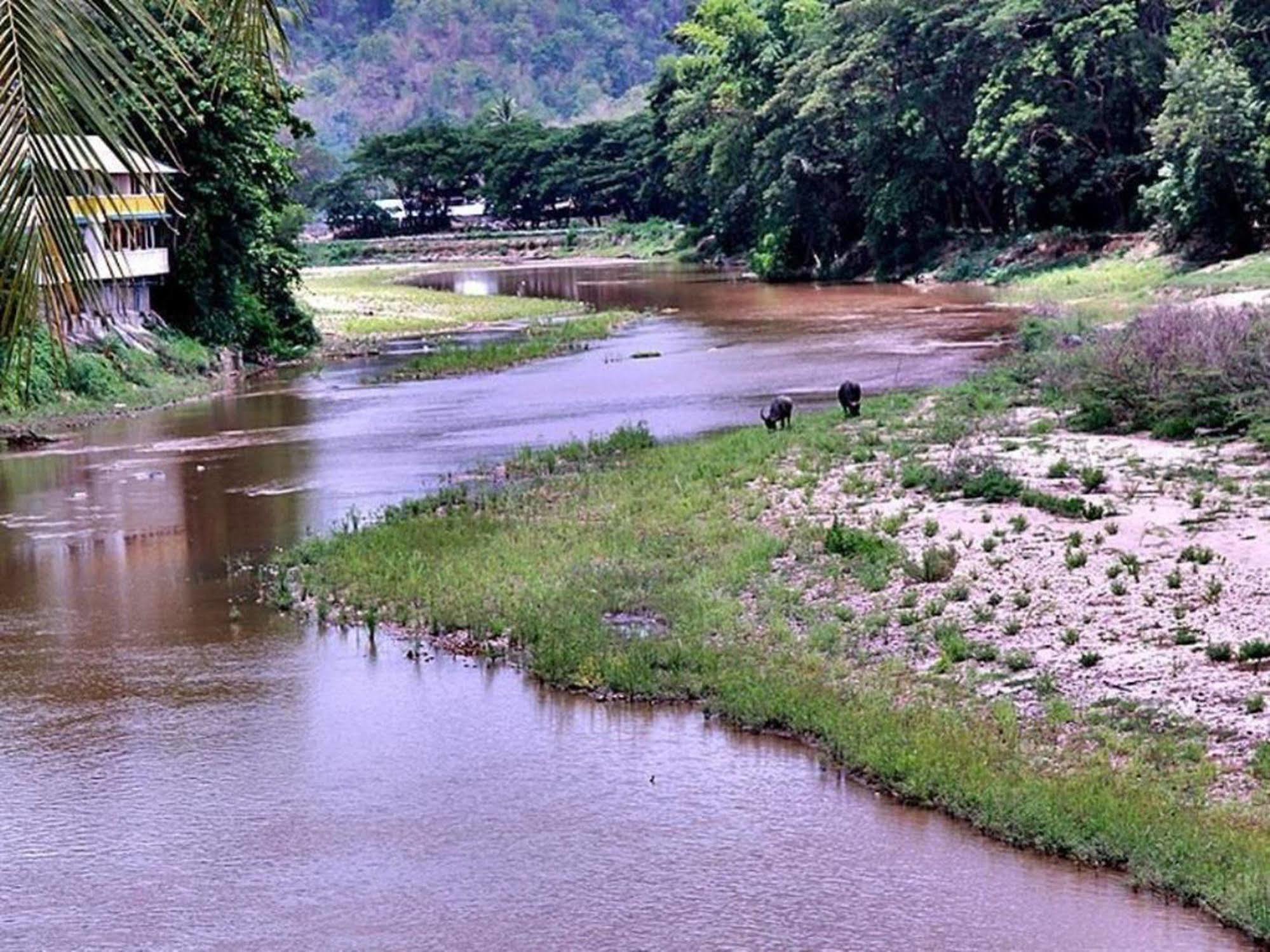 River Bank 3*
