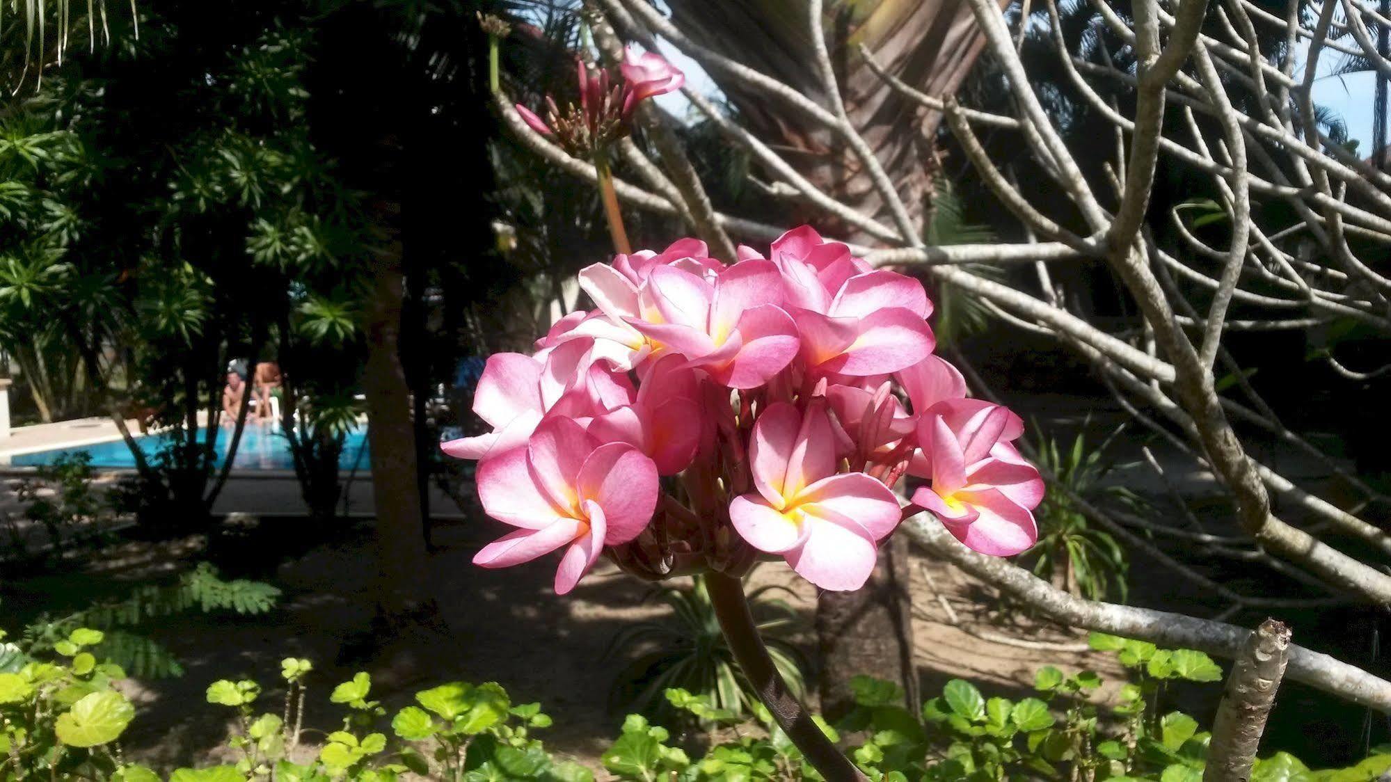Resort Garden