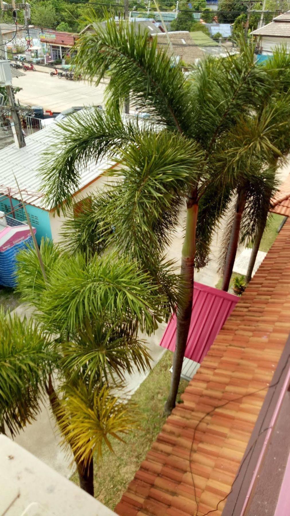 Lanta Sweet Mansion