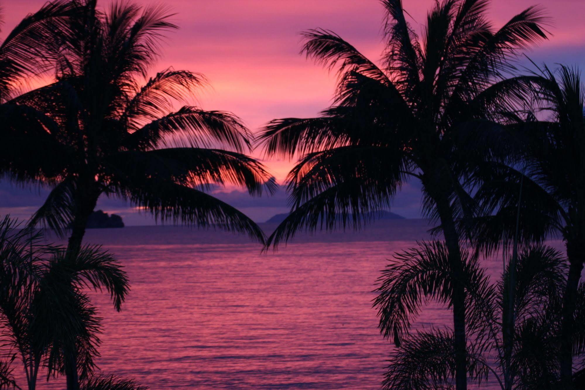 Sibaja Palms Sunset Luxury Apartment