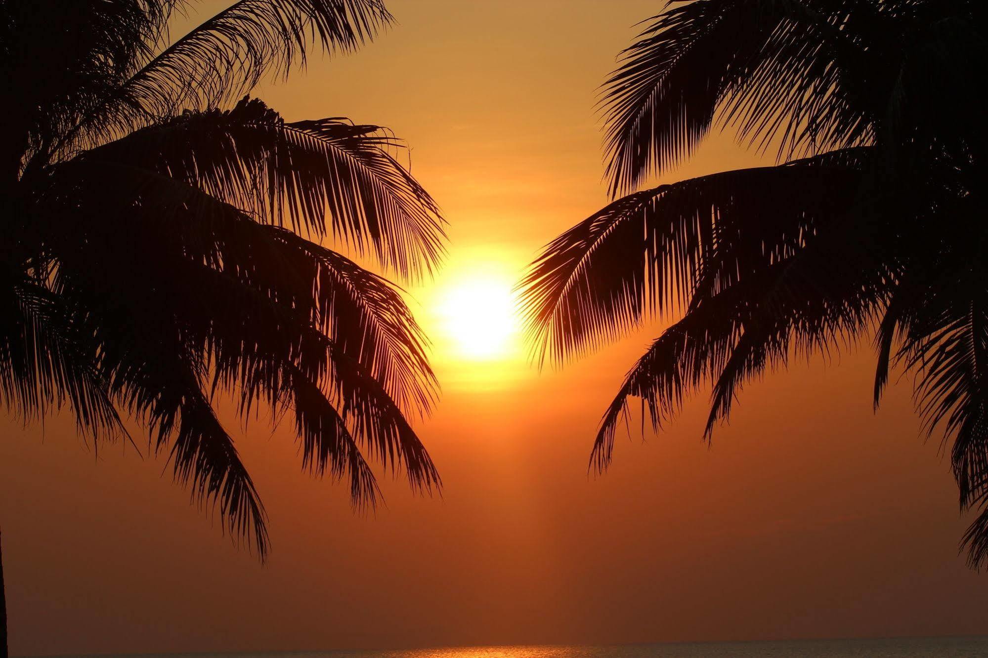 Sibaja Palms Sunset Luxury Apartment *