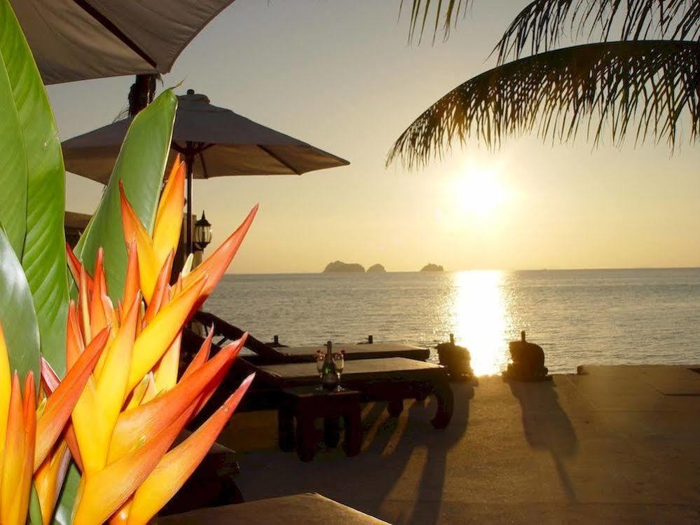 Sibaja Palms Sunset Luxury