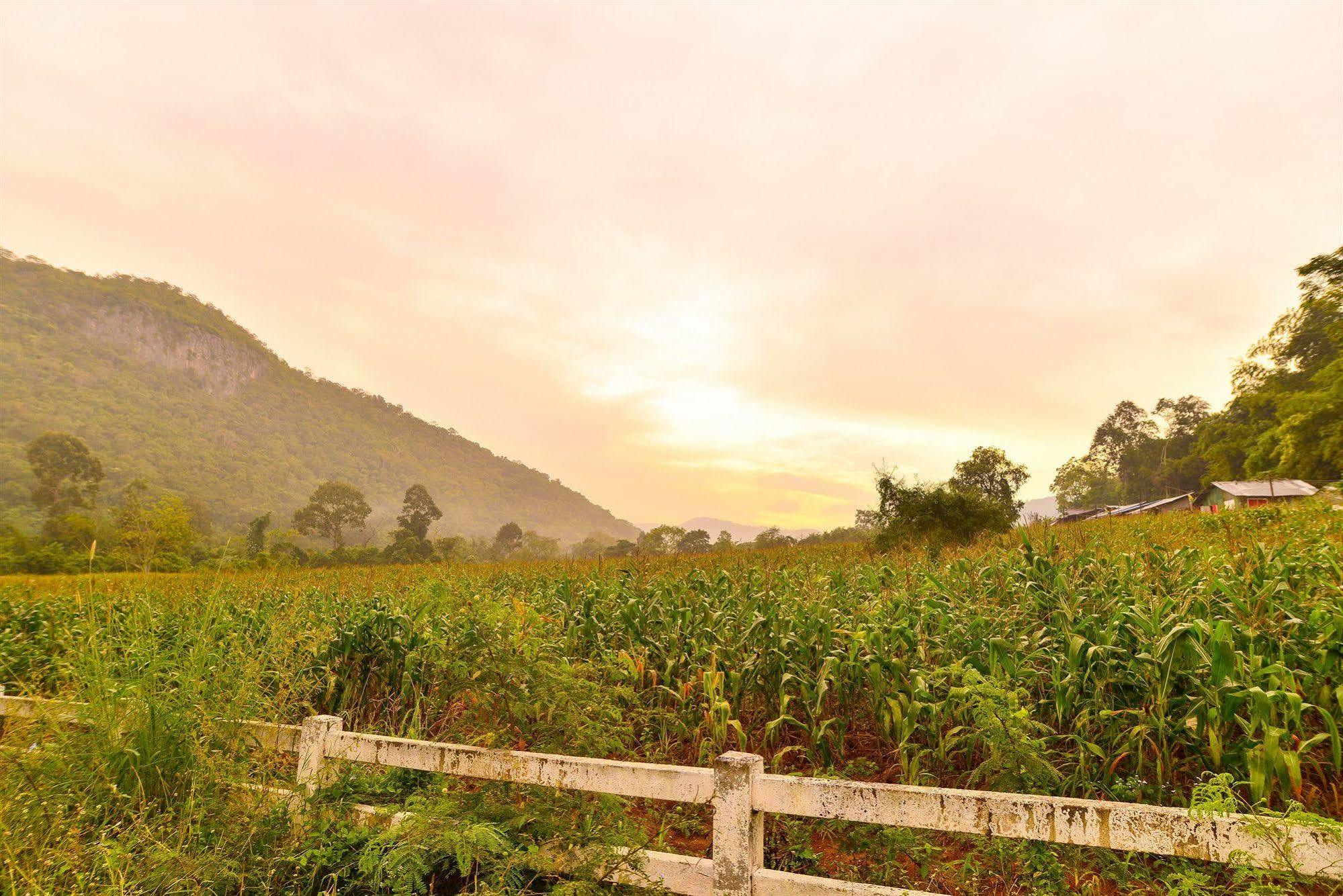 Family Khao Yai 3*