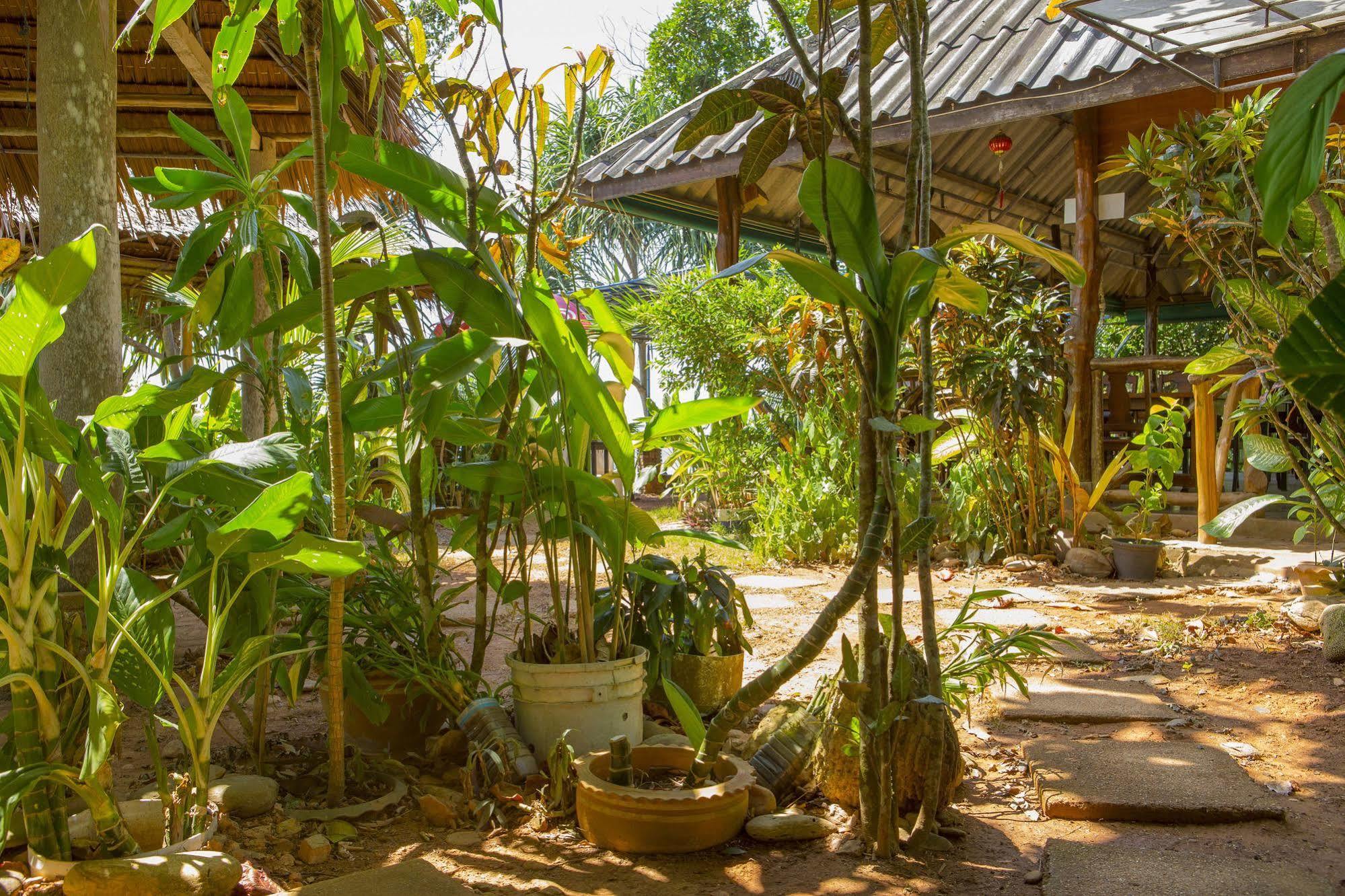 Resort Lanta Coral 2*