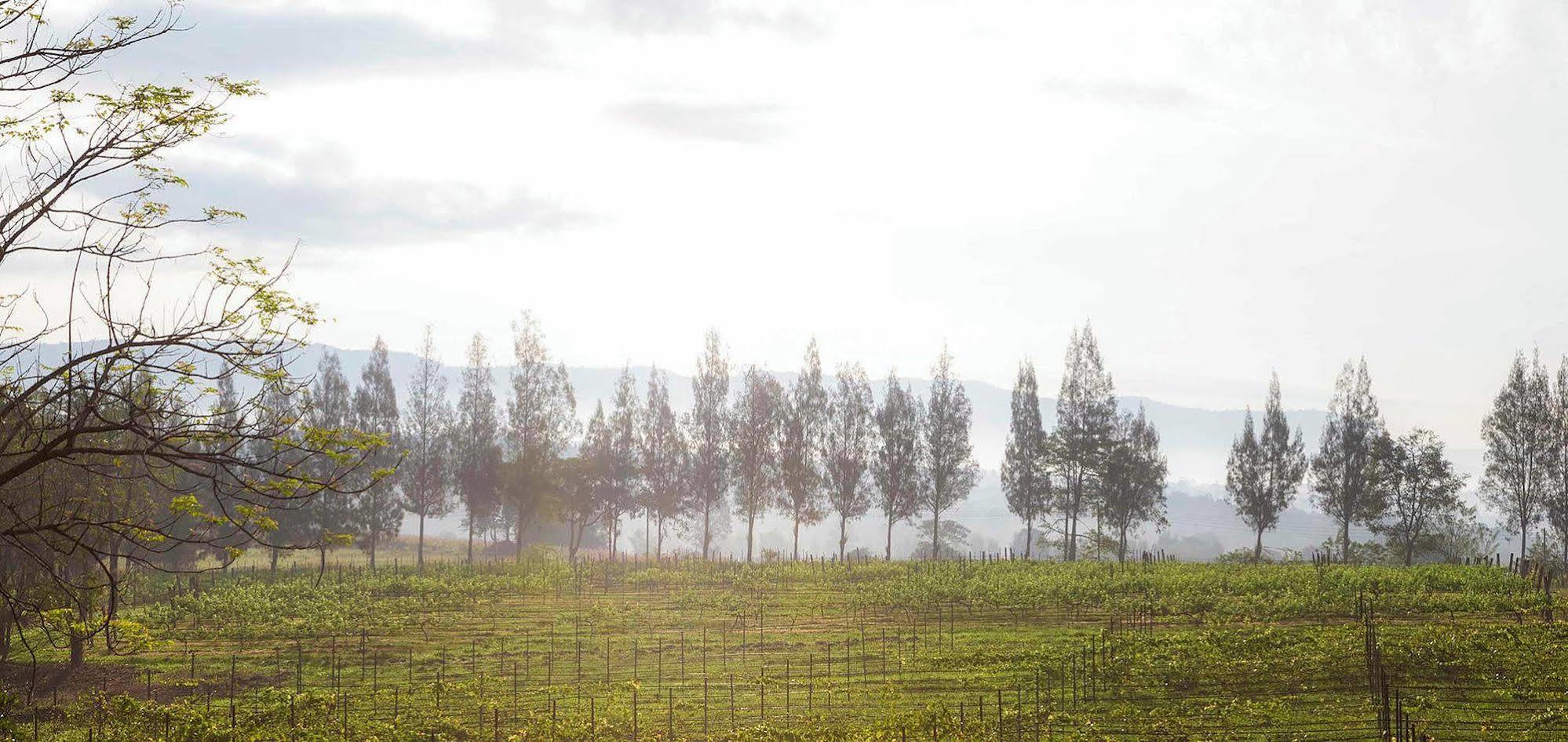 Village Farm And Winery Resort 3*