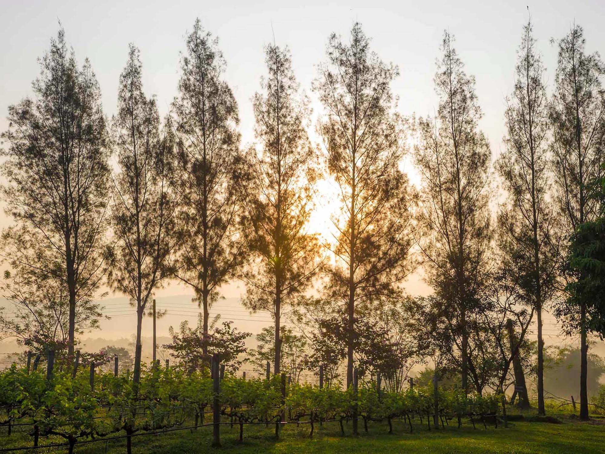 Village Farm And Winery Resort