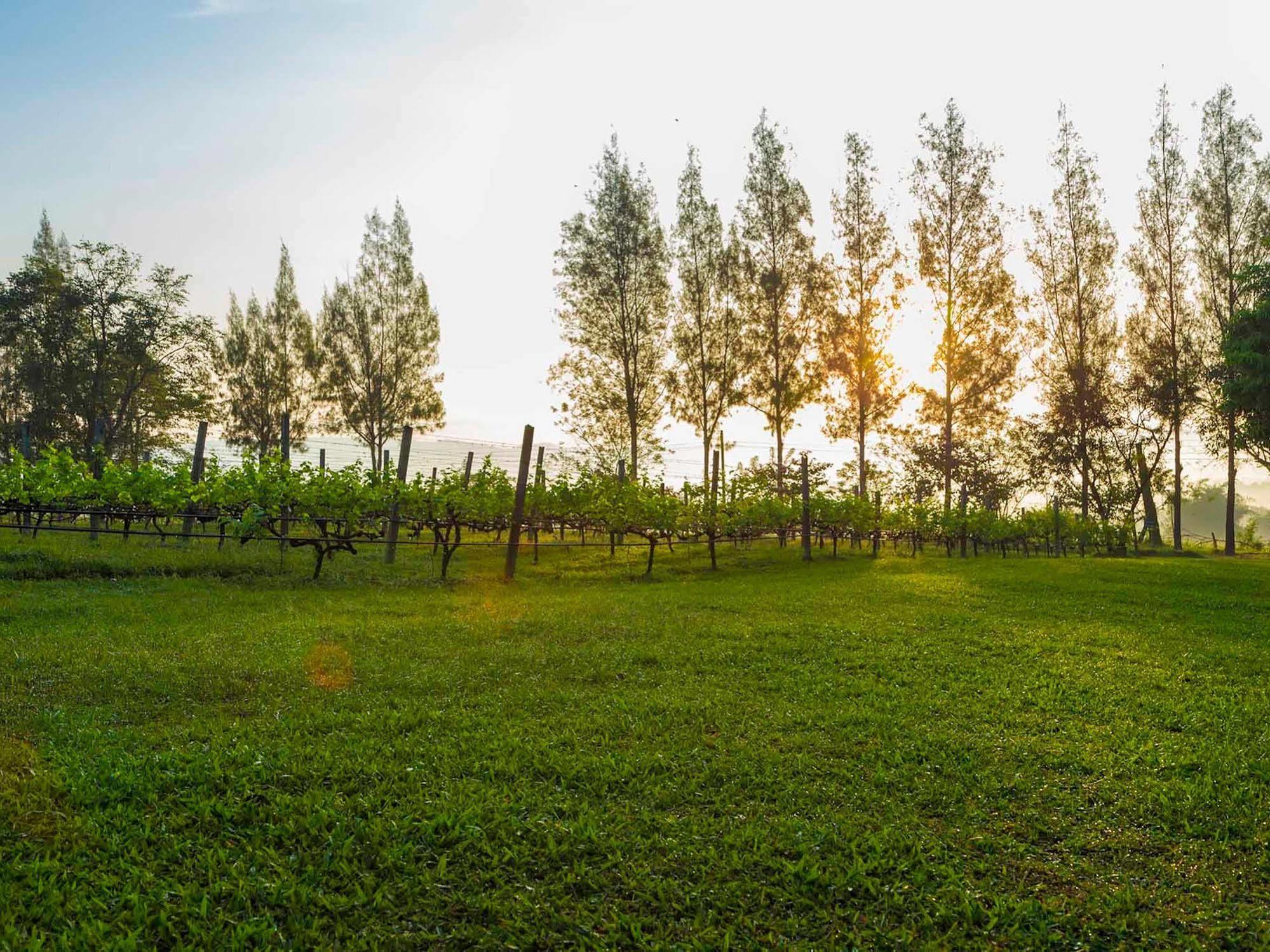 Village Farm And Winery Resort