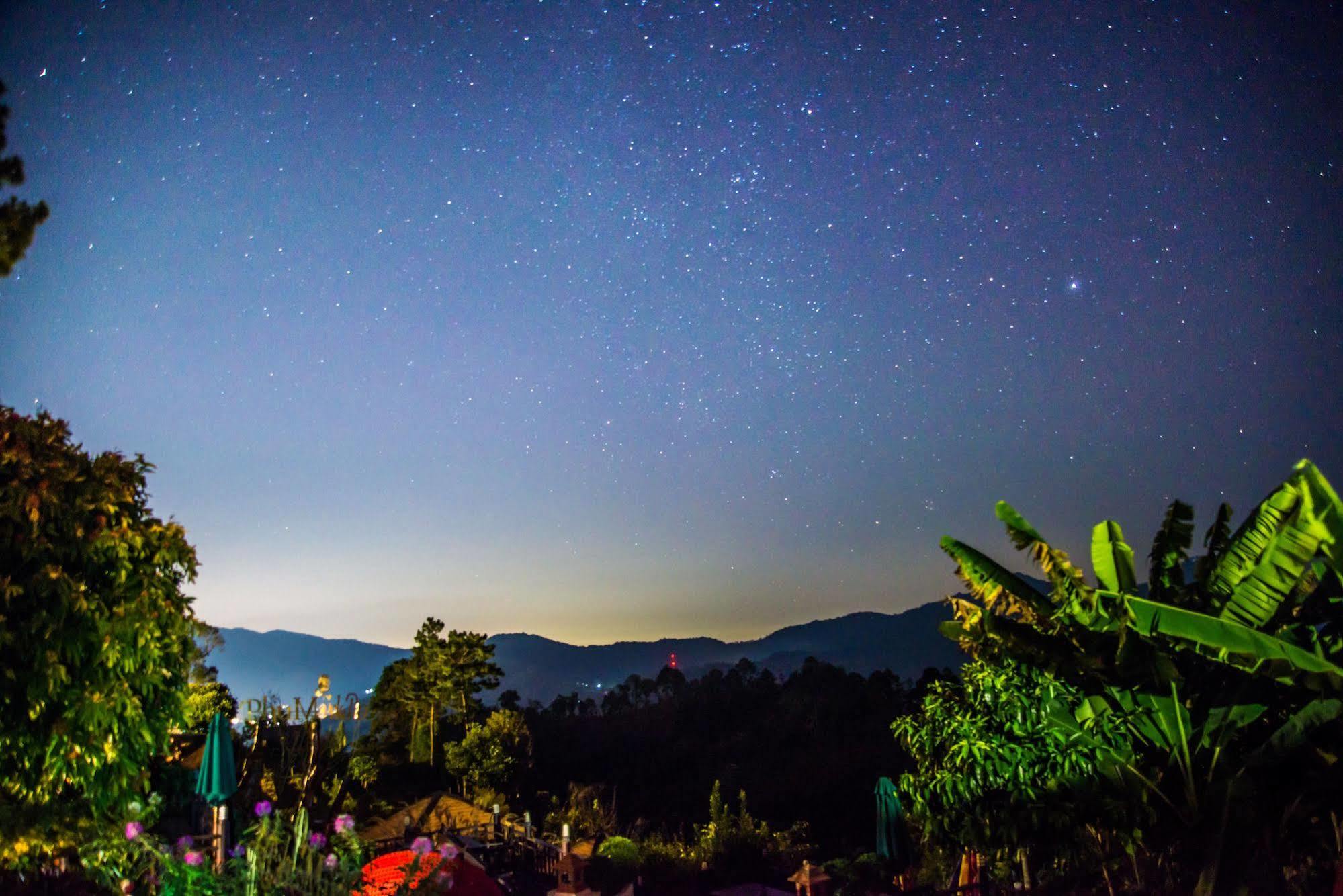 Phu Mork Dao Resort Pong Yaeng