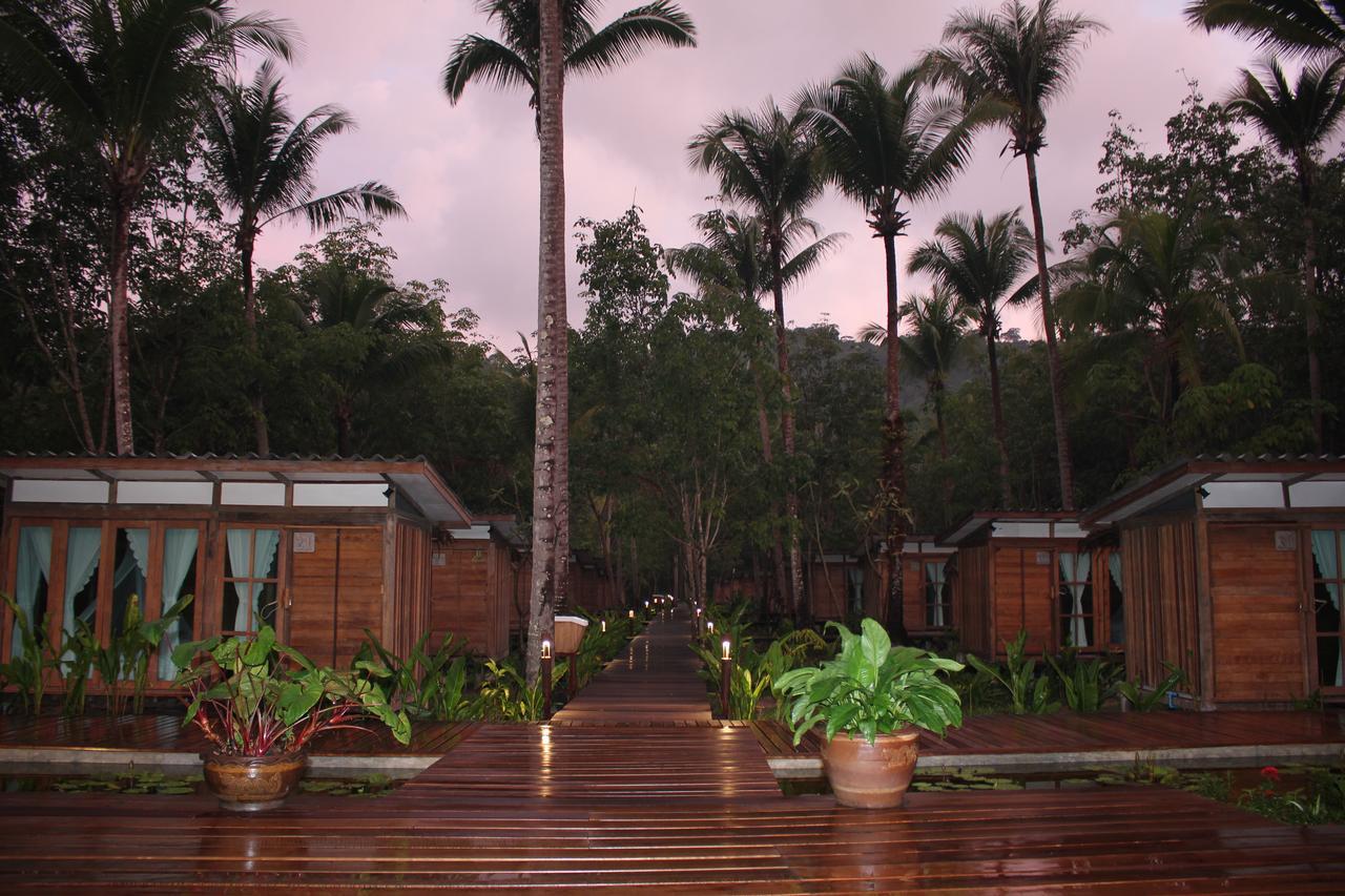 Jungle Koh Kood Ko Kut