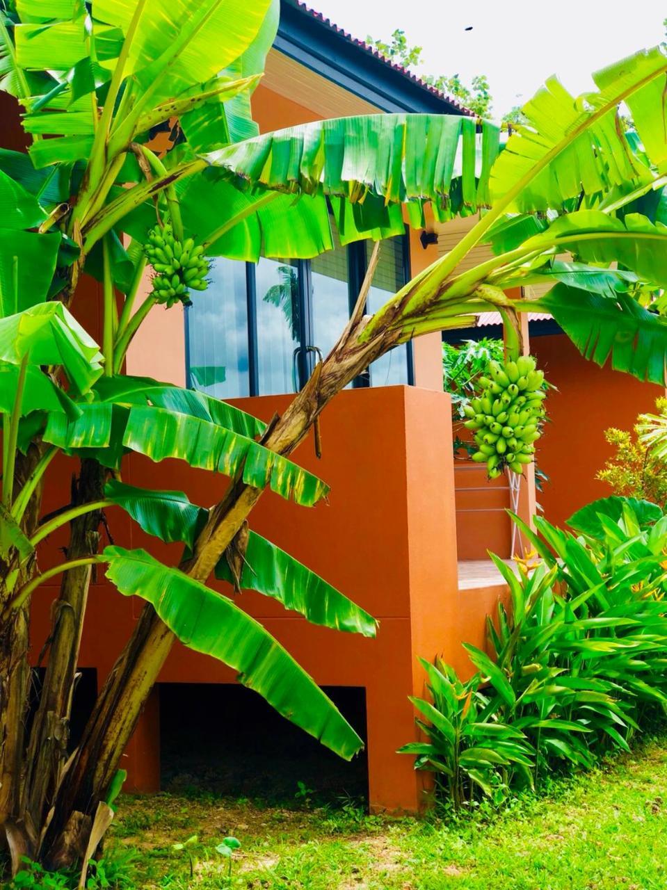 Resort Bannsuan Amaleena Ko Yao Noi