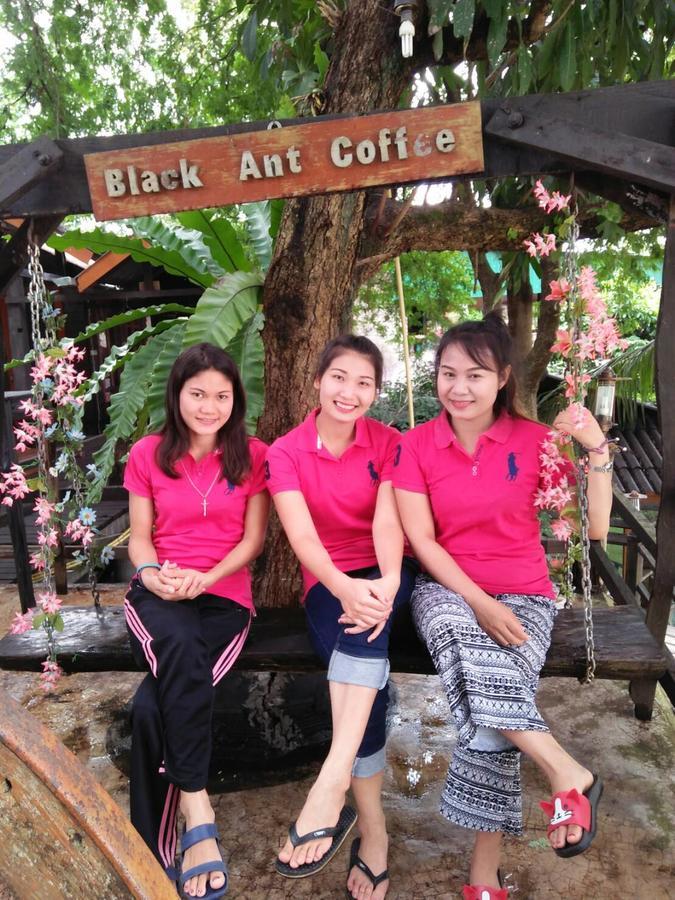 P&p Coffee & Maesariang Mae Sariang