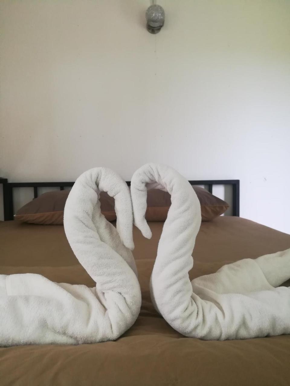 Bn