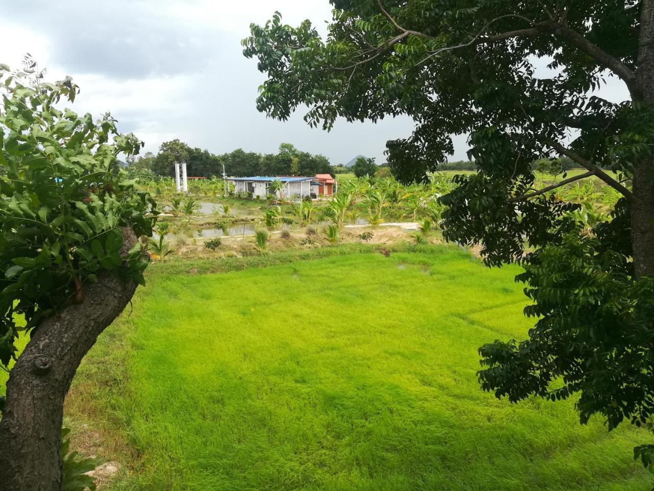 Resort Bn Ban Nong Chum Saeng