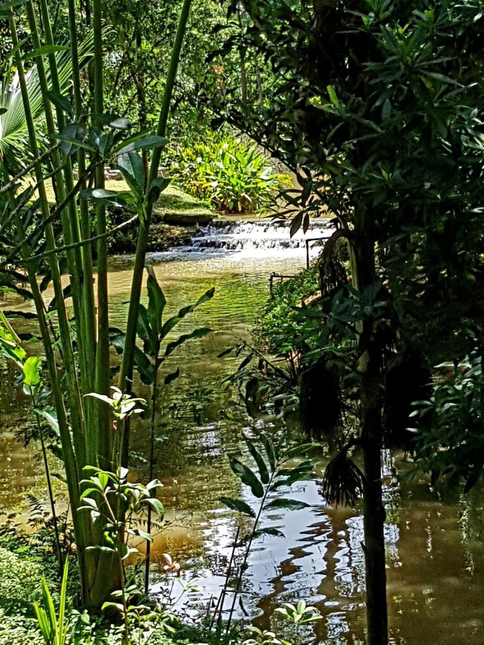 Marisa Resort & Spa Chiang Dao 3*