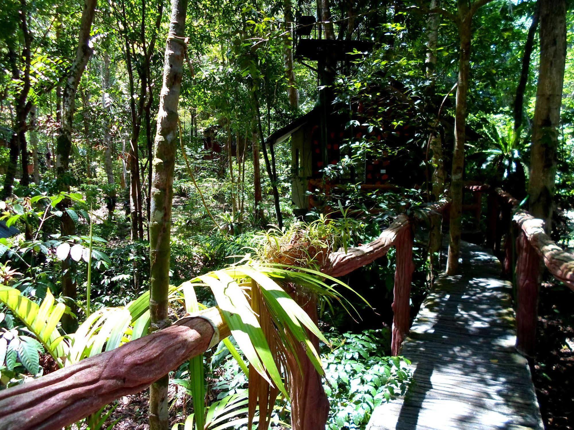 Resort Khao Sok Tree House