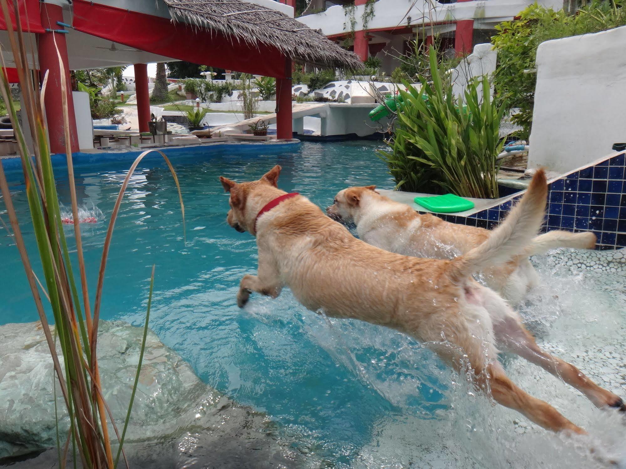 Mirabel Club Jomtien Beach