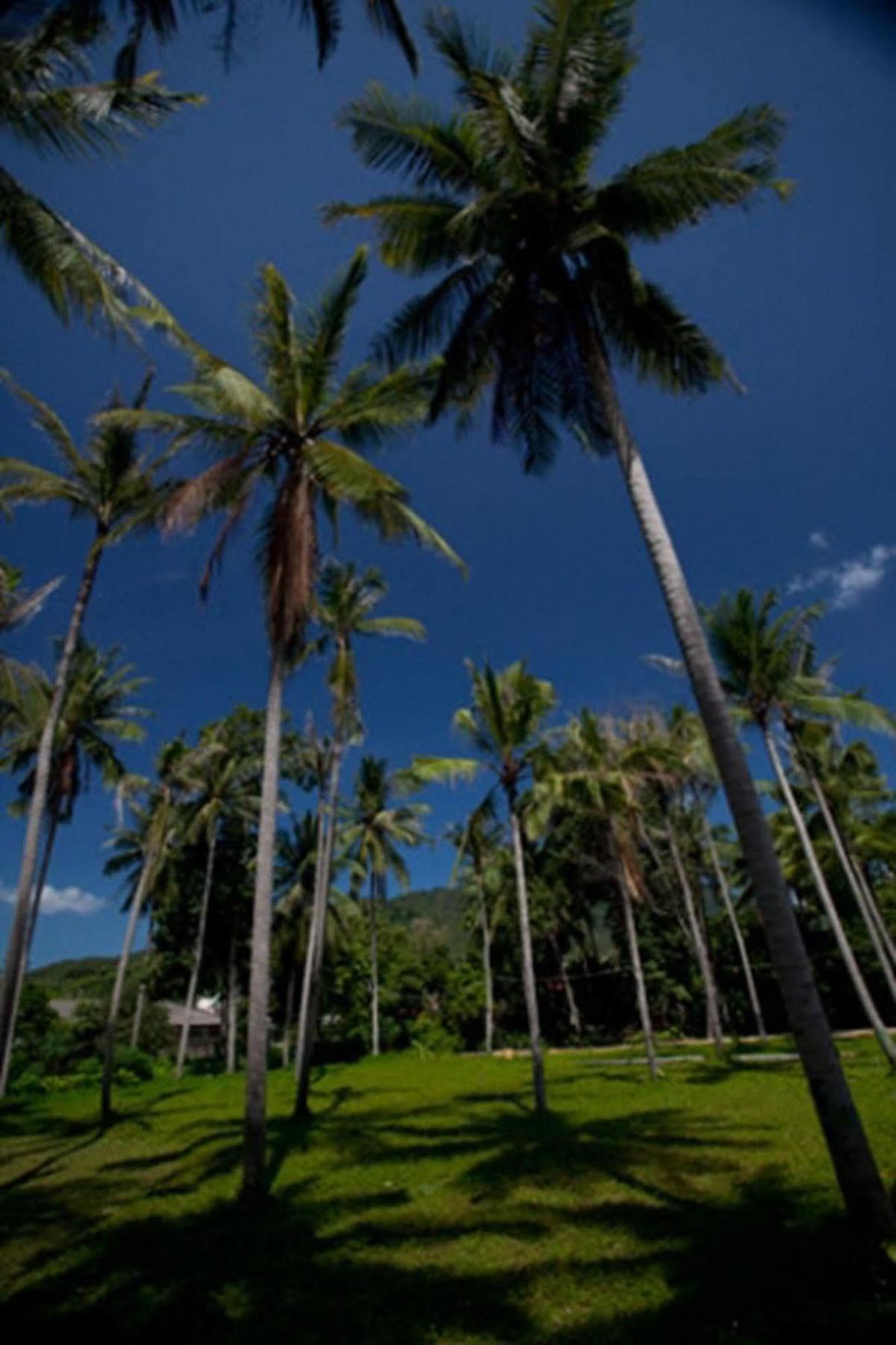 Resort Astrococo By Coconut