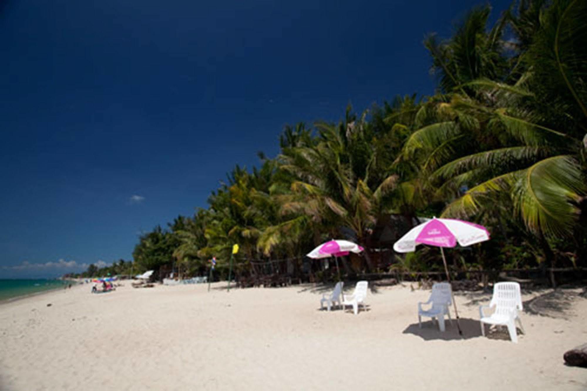 Resort Astrococo By Coconut Lamai Beach (Koh Samui)