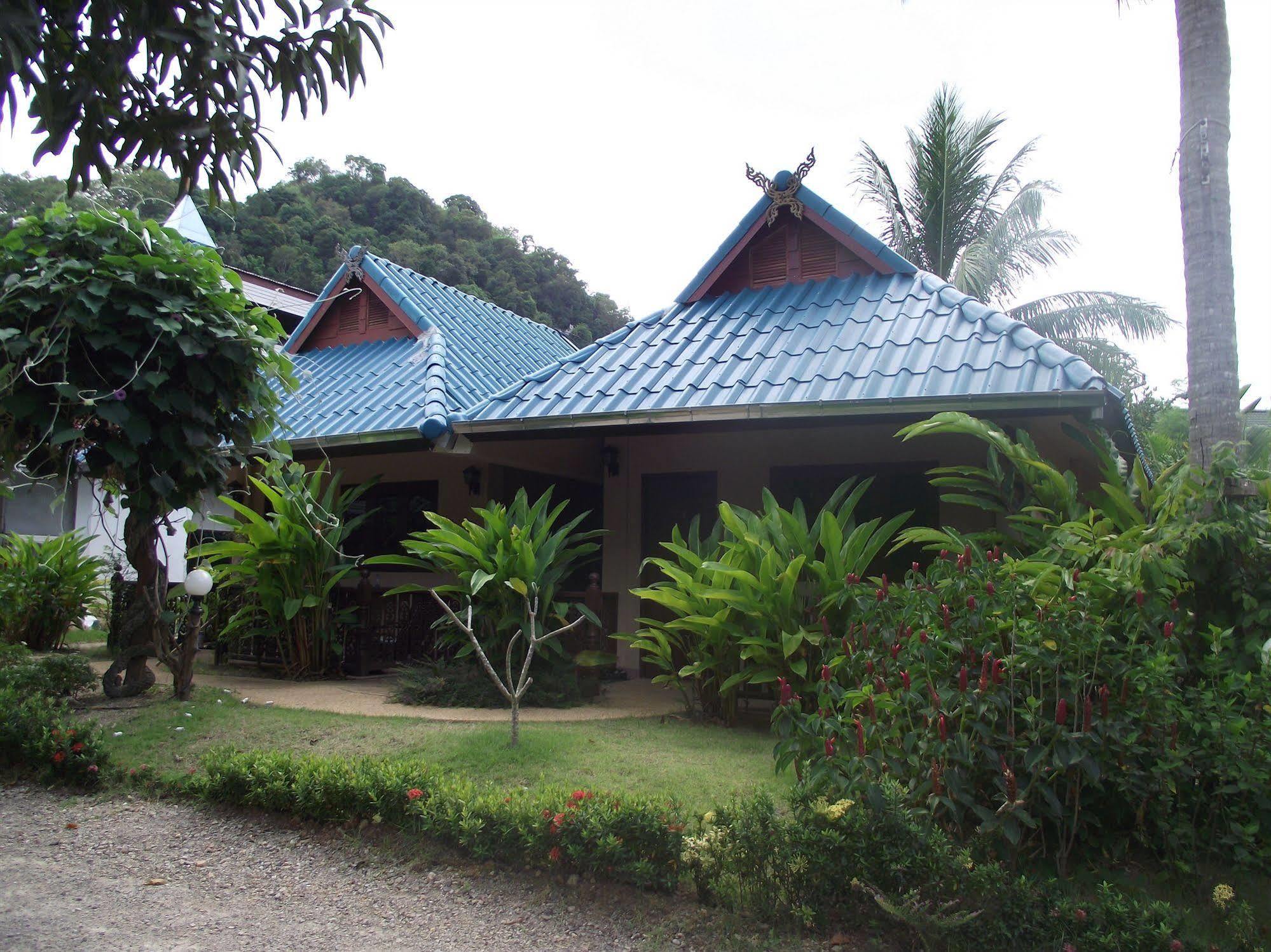 The Krabi Forest *
