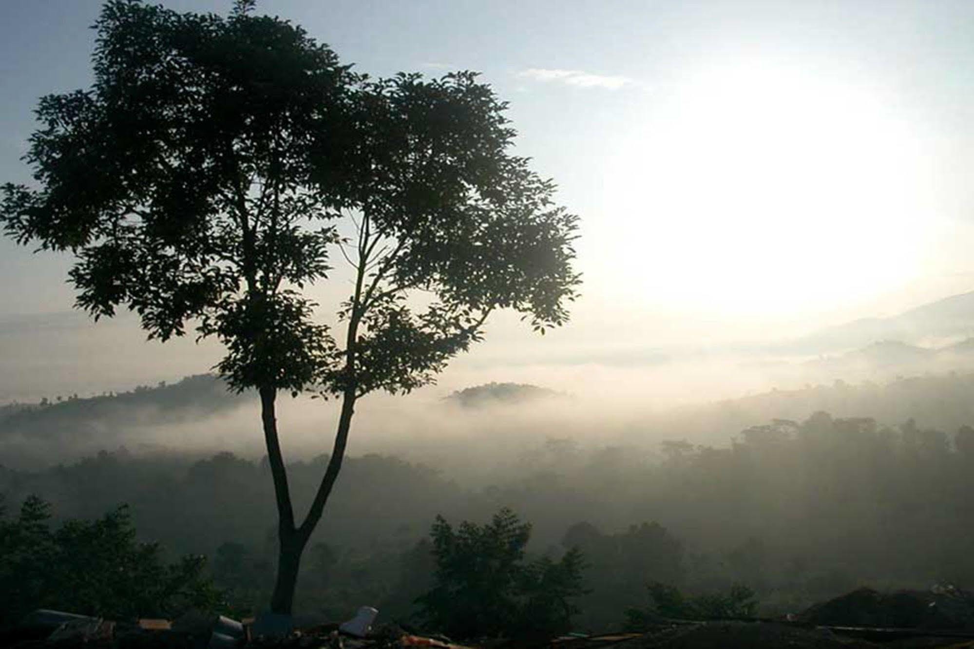 Resort Chiang Rai Valley @doi Hom Fha Mae Chan