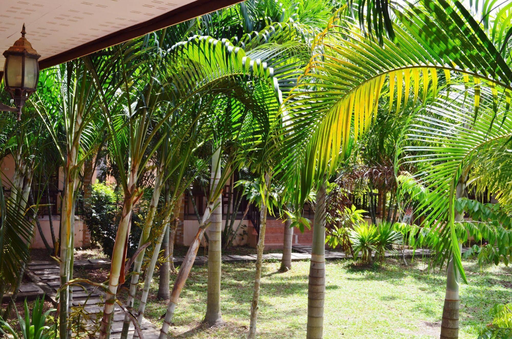 Guest house Naraya