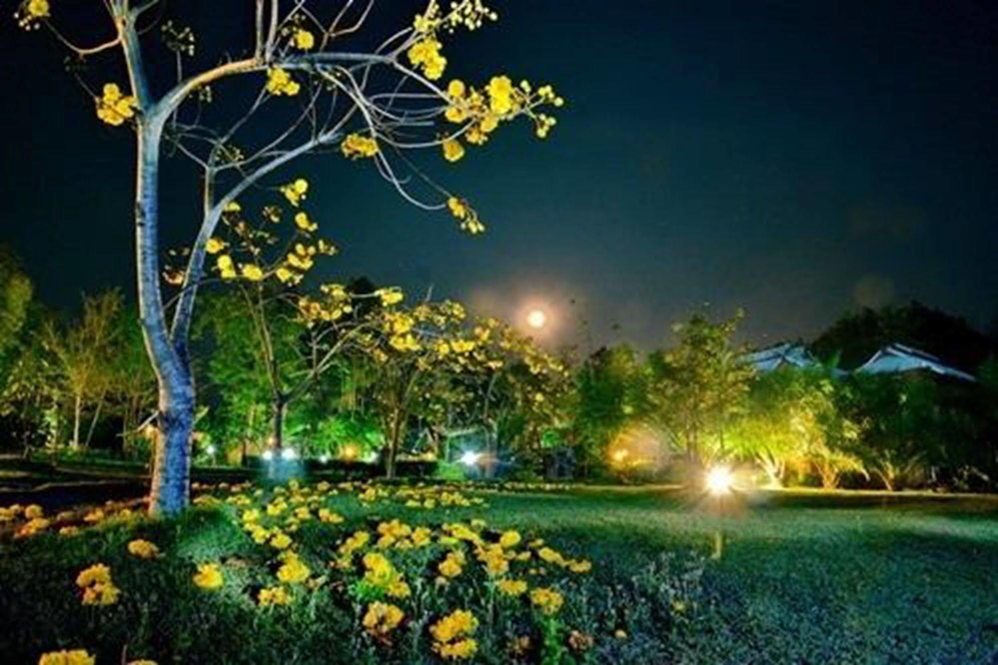 Resort Phuphiang Khiangfah Nan