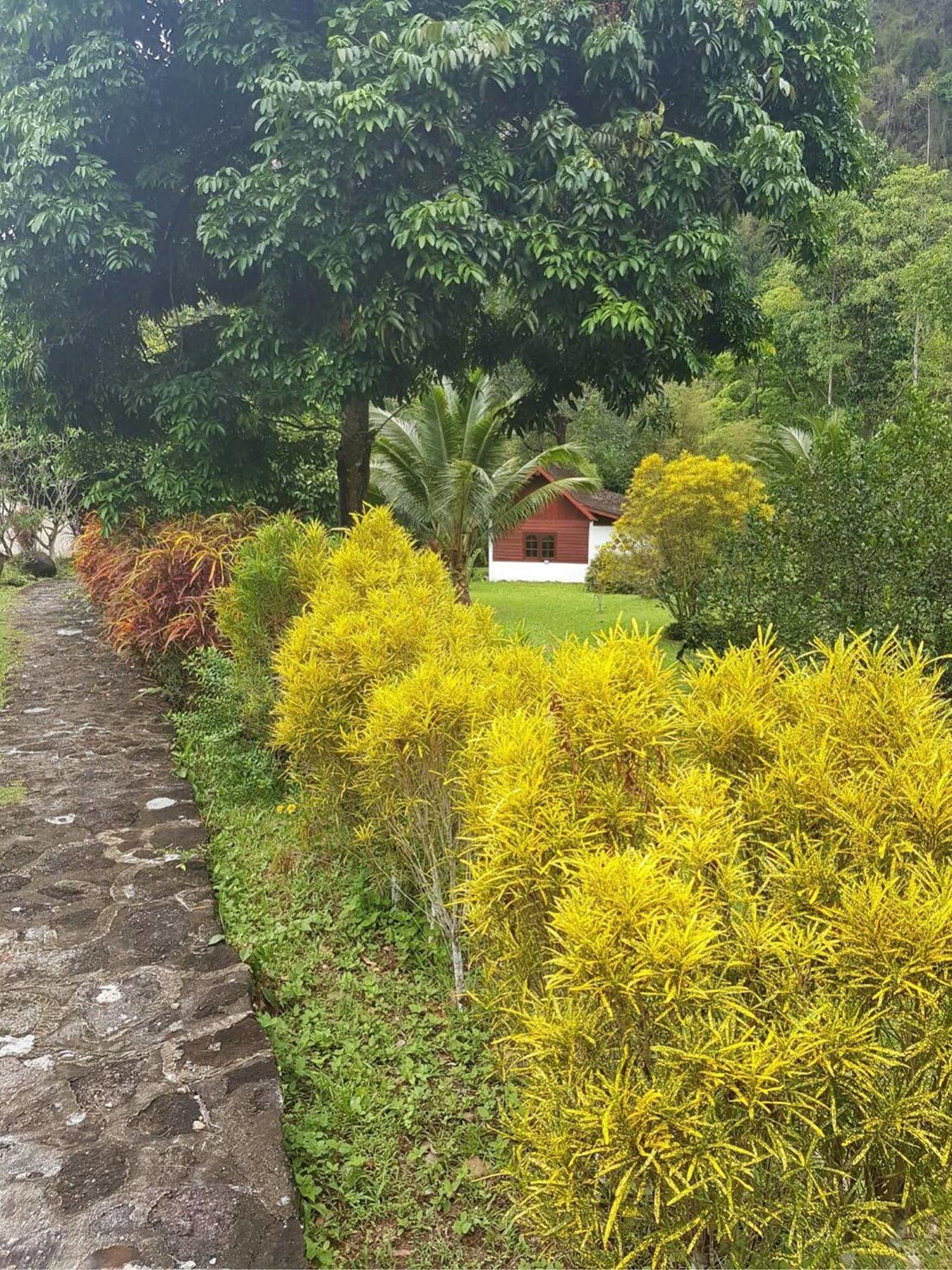 Phanom Bencha Mountain Resort Krabi