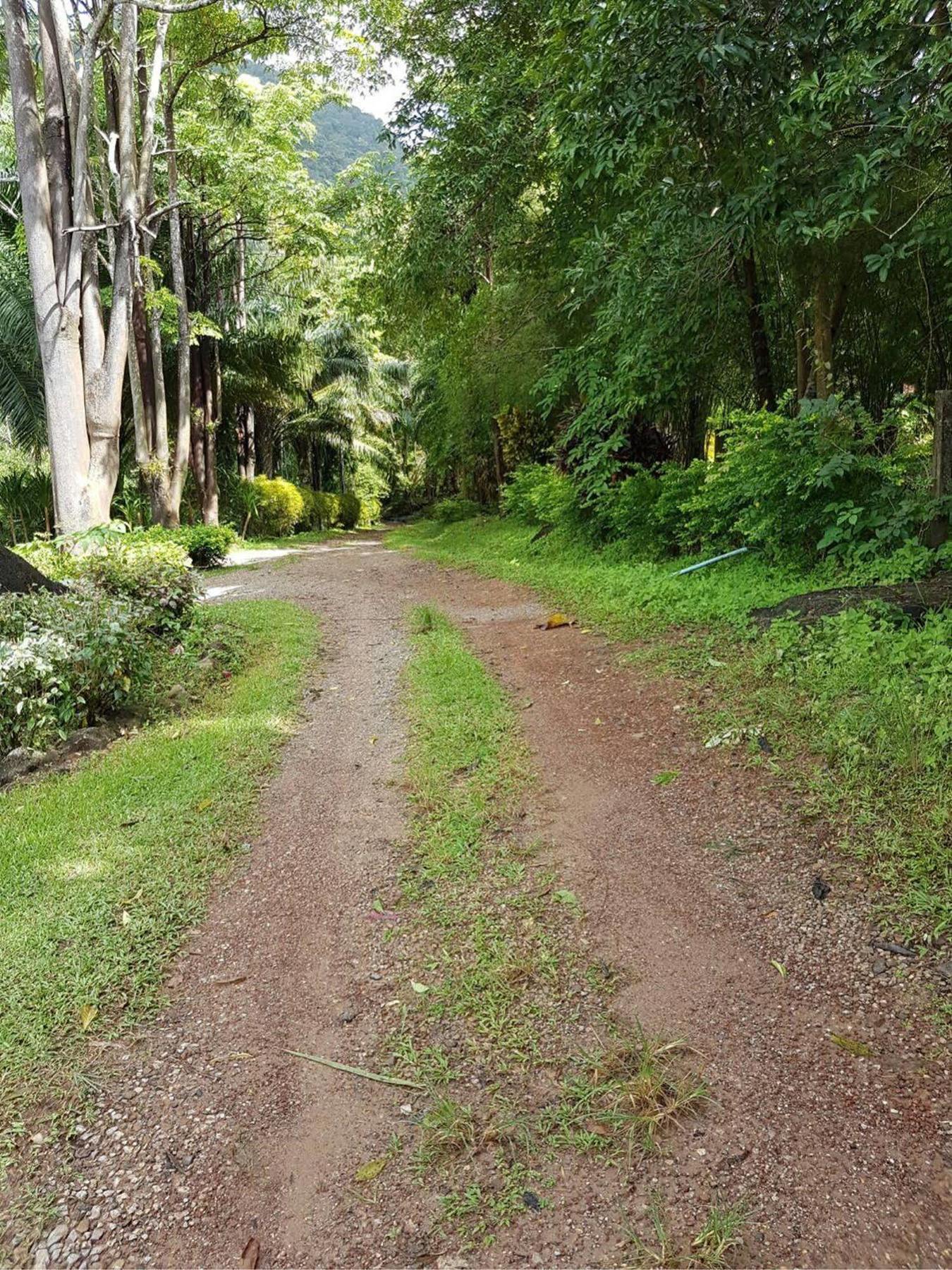 Phanom Bencha Mountain Resort 3*